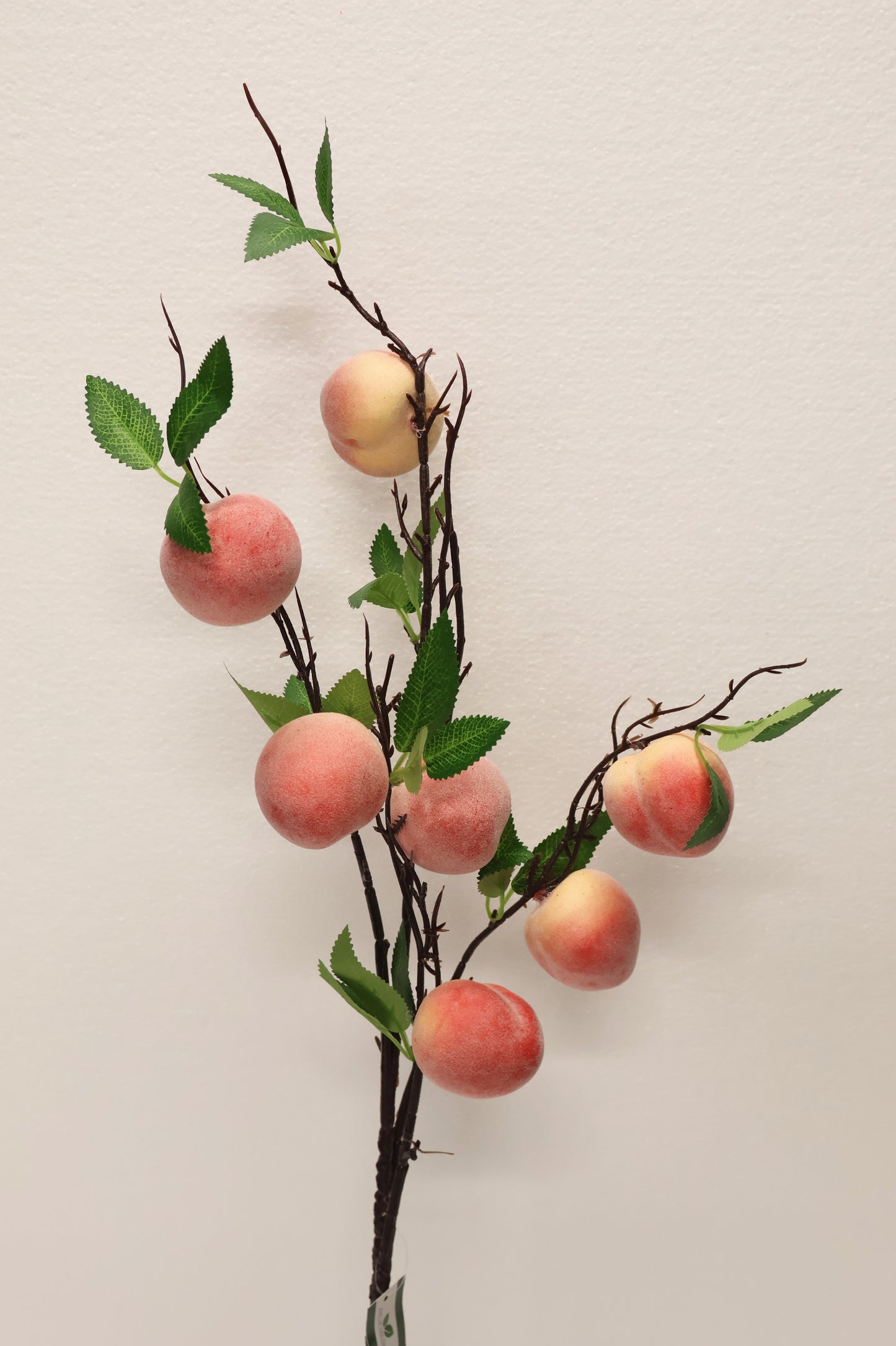 PEACH — 35.4" (90 cm)