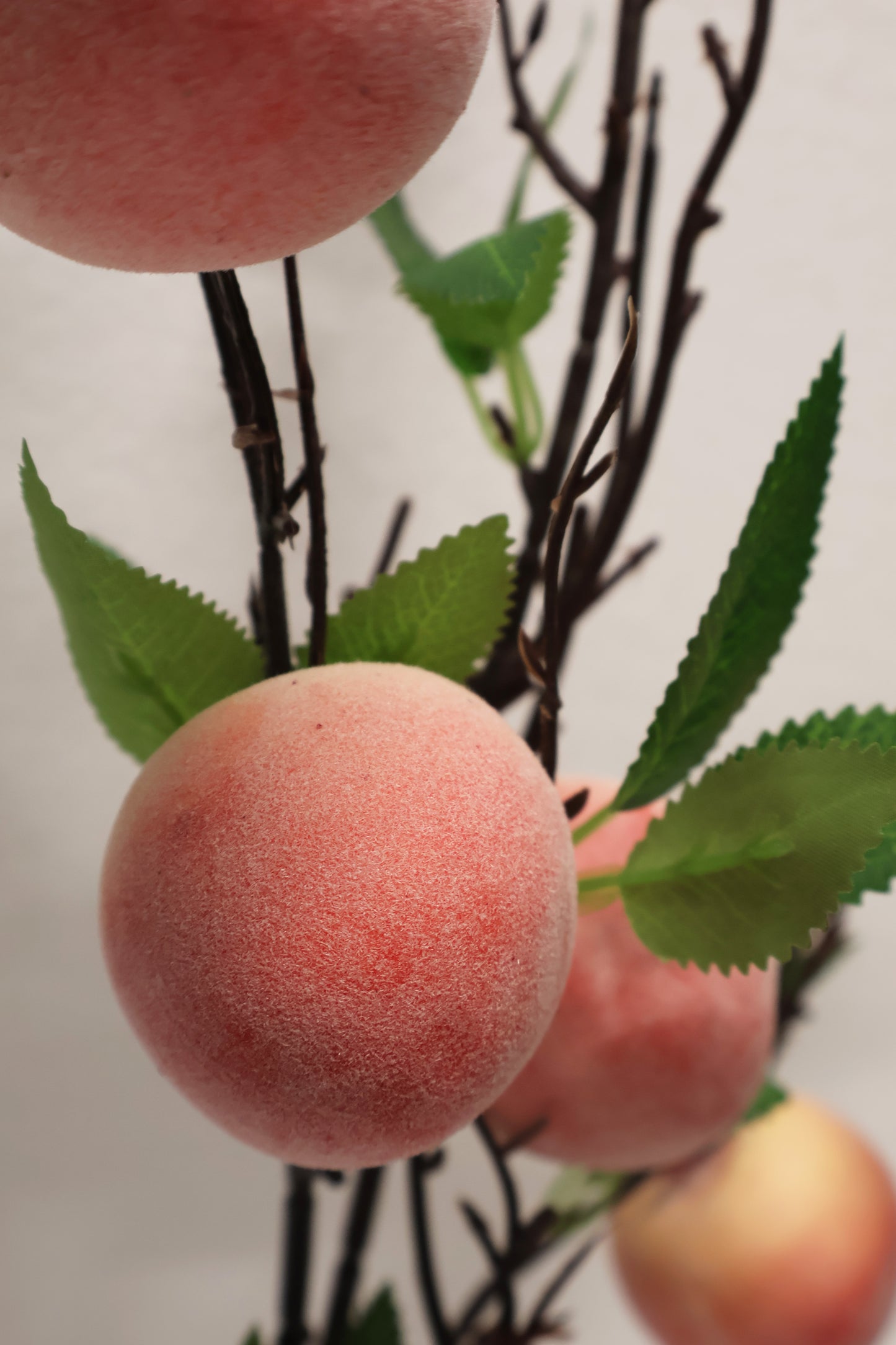 PEACH — 35.4" (90 cm)