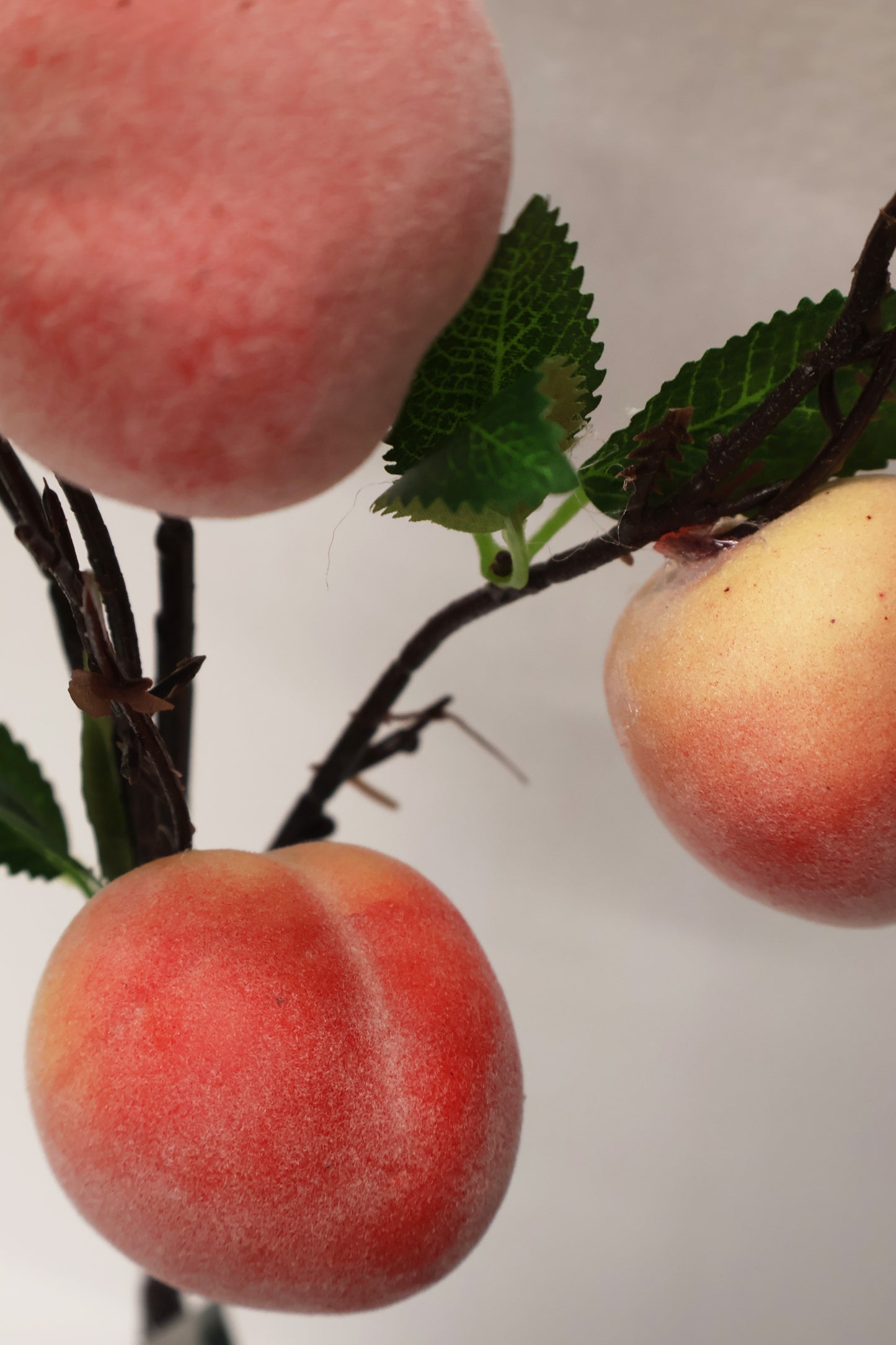 PEACH — 35.4" (90 cm)
