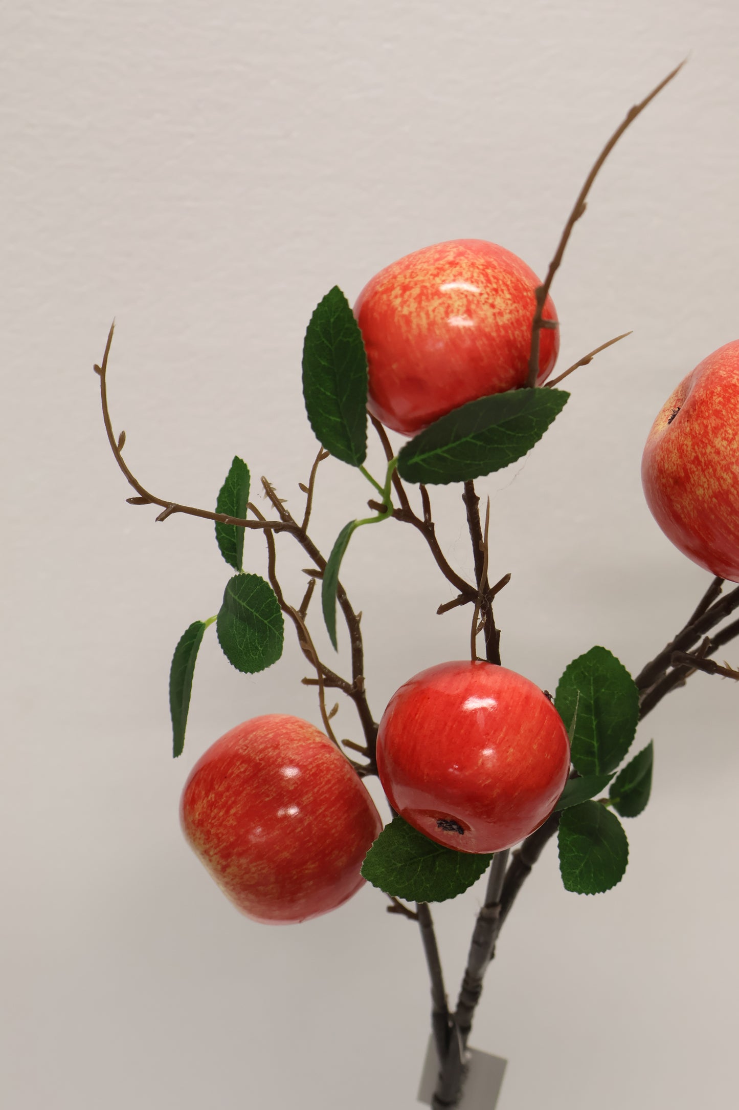 APPLE — 37.0" (94 cm)