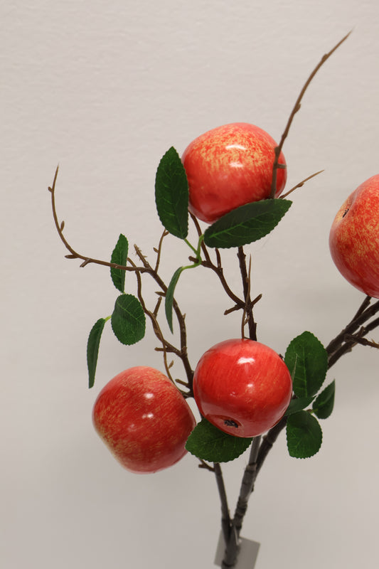 APPLE — 37.0" (94 cm)