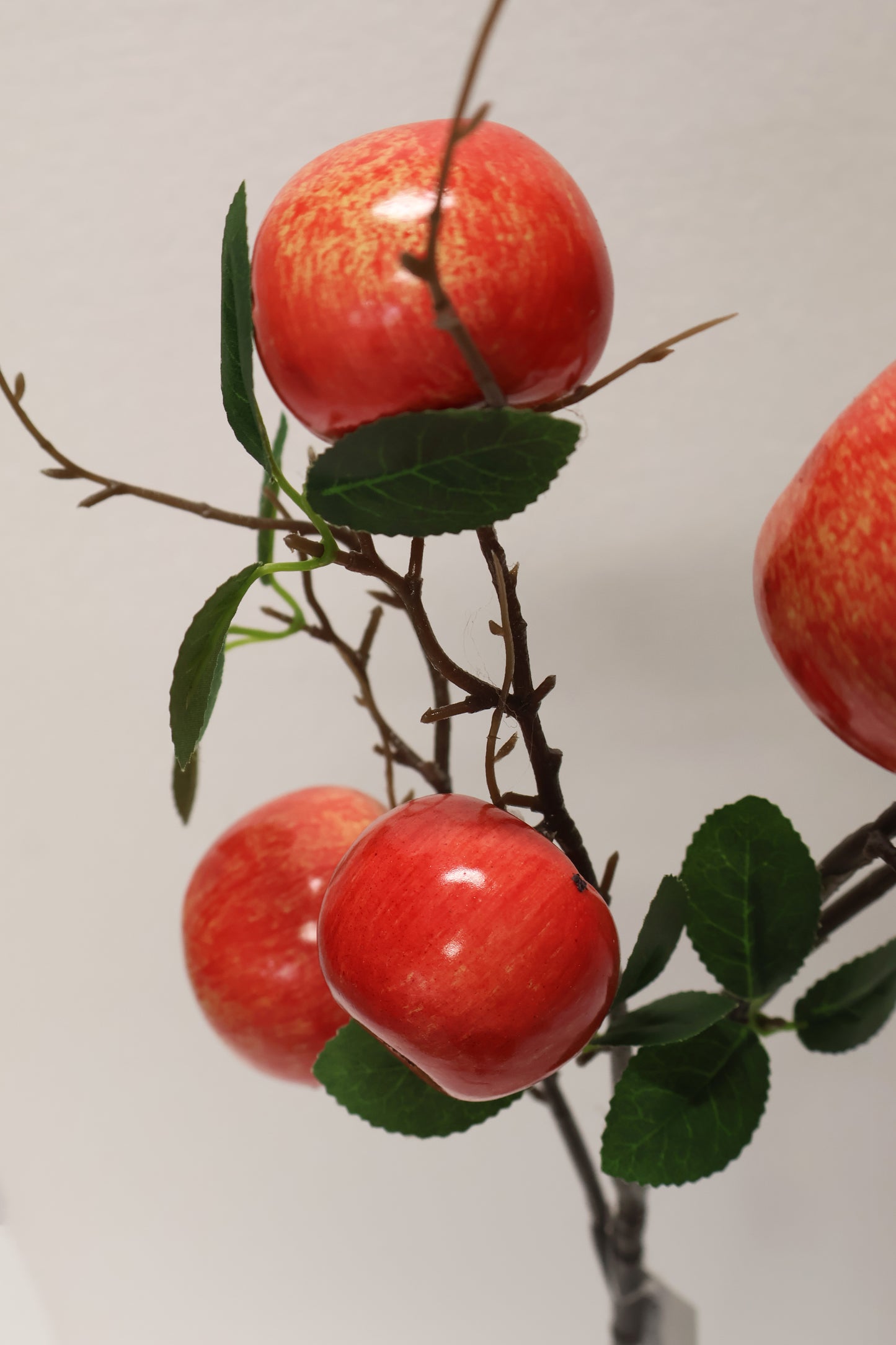 APPLE — 37.0" (94 cm)
