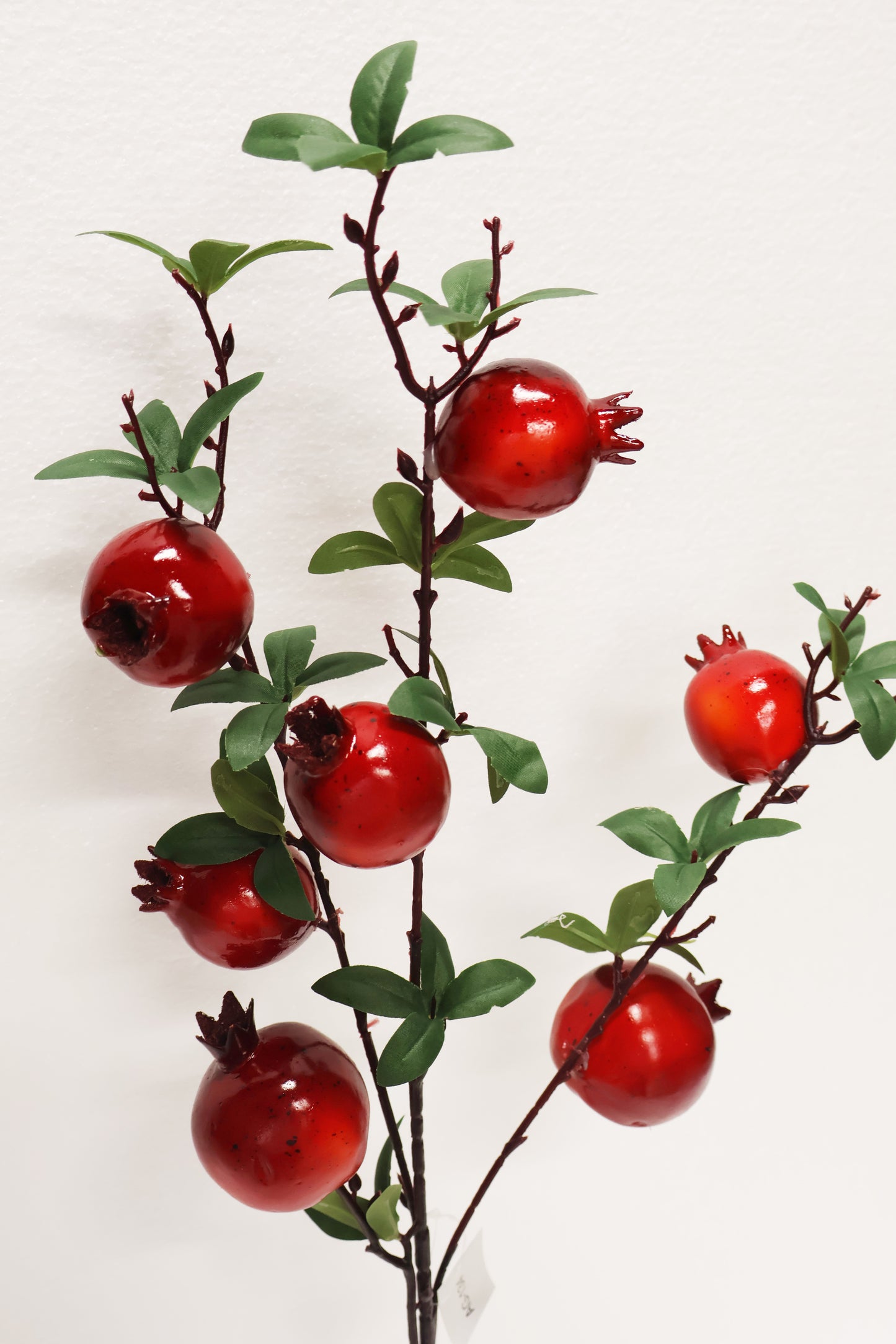 POMEGRANATE — 32.7" (83 cm)