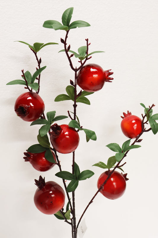 POMEGRANATE — 32.7" (83 cm)