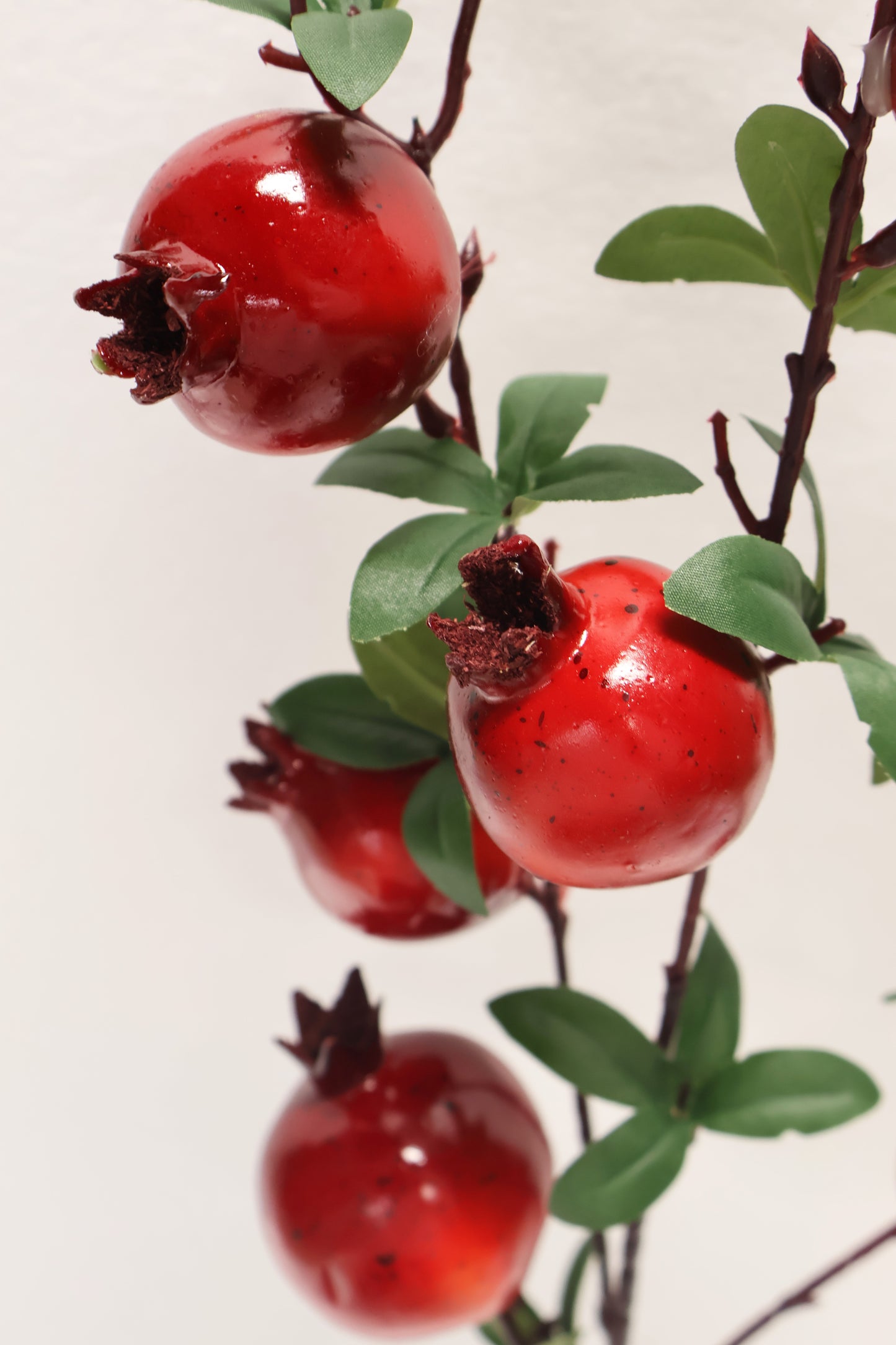 POMEGRANATE — 32.7" (83 cm)