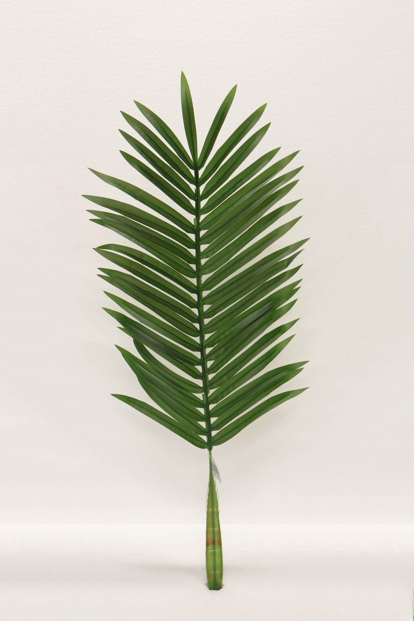 ARECA PALM SINGLE LEAF — 41.3" × 27.6" × 15.4" (105 × 70 × 39 cm)
