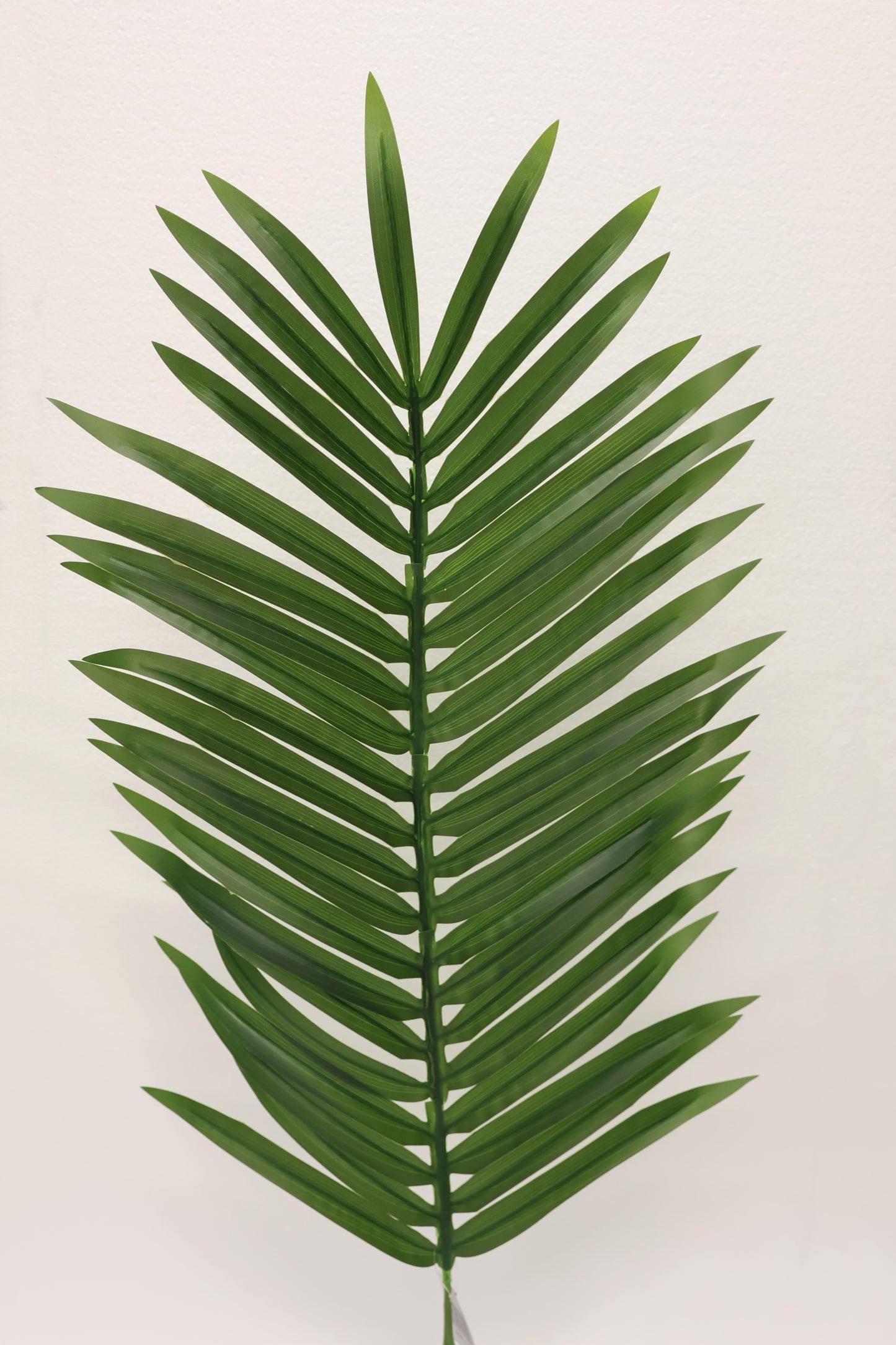 ARECA PALM SINGLE LEAF — 41.3" × 27.6" × 15.4" (105 × 70 × 39 cm)