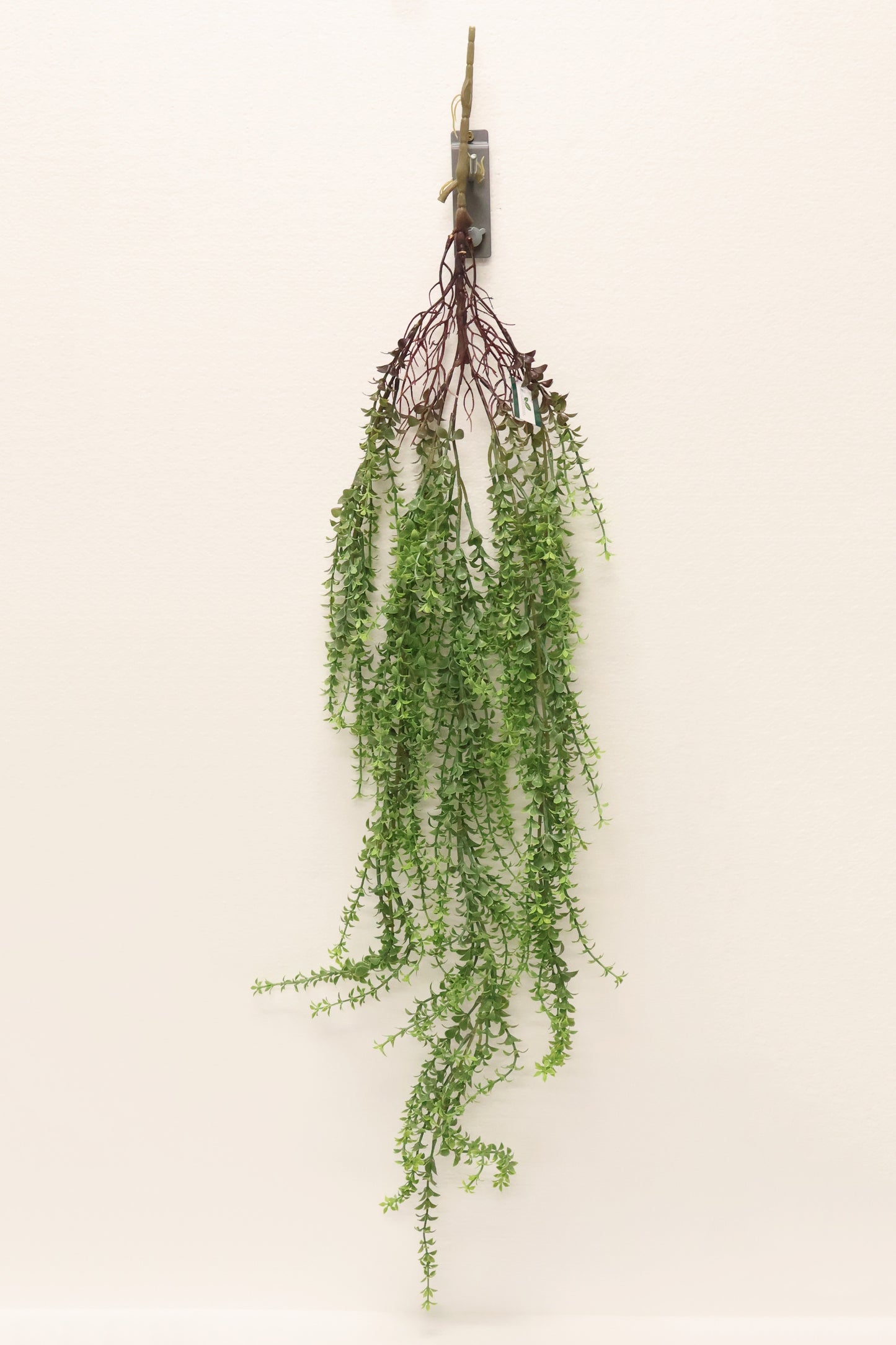 BOXWOOD MYRTLE VINE — 44" (112 cm)