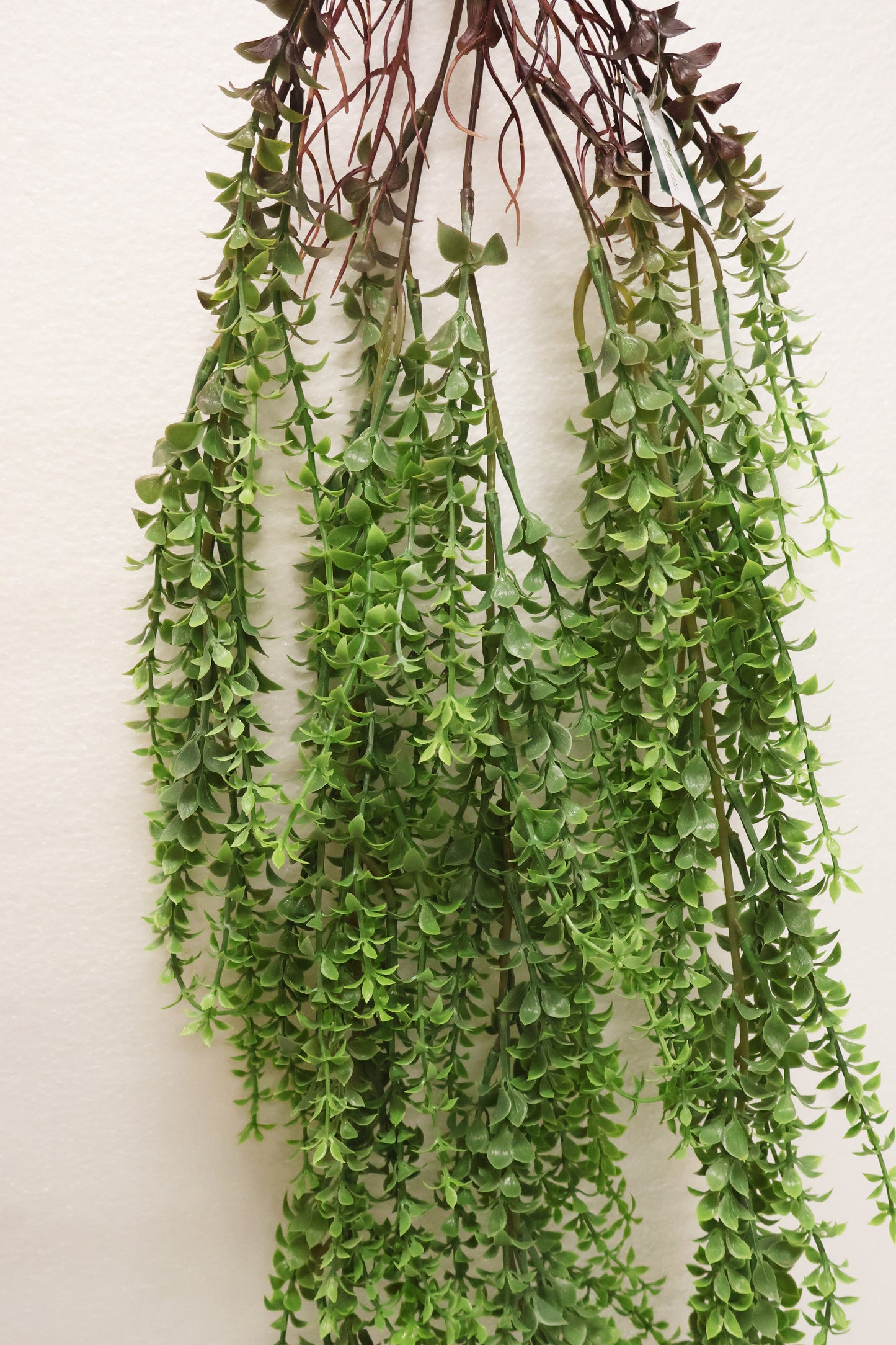 BOXWOOD MYRTLE VINE — 44" (112 cm)