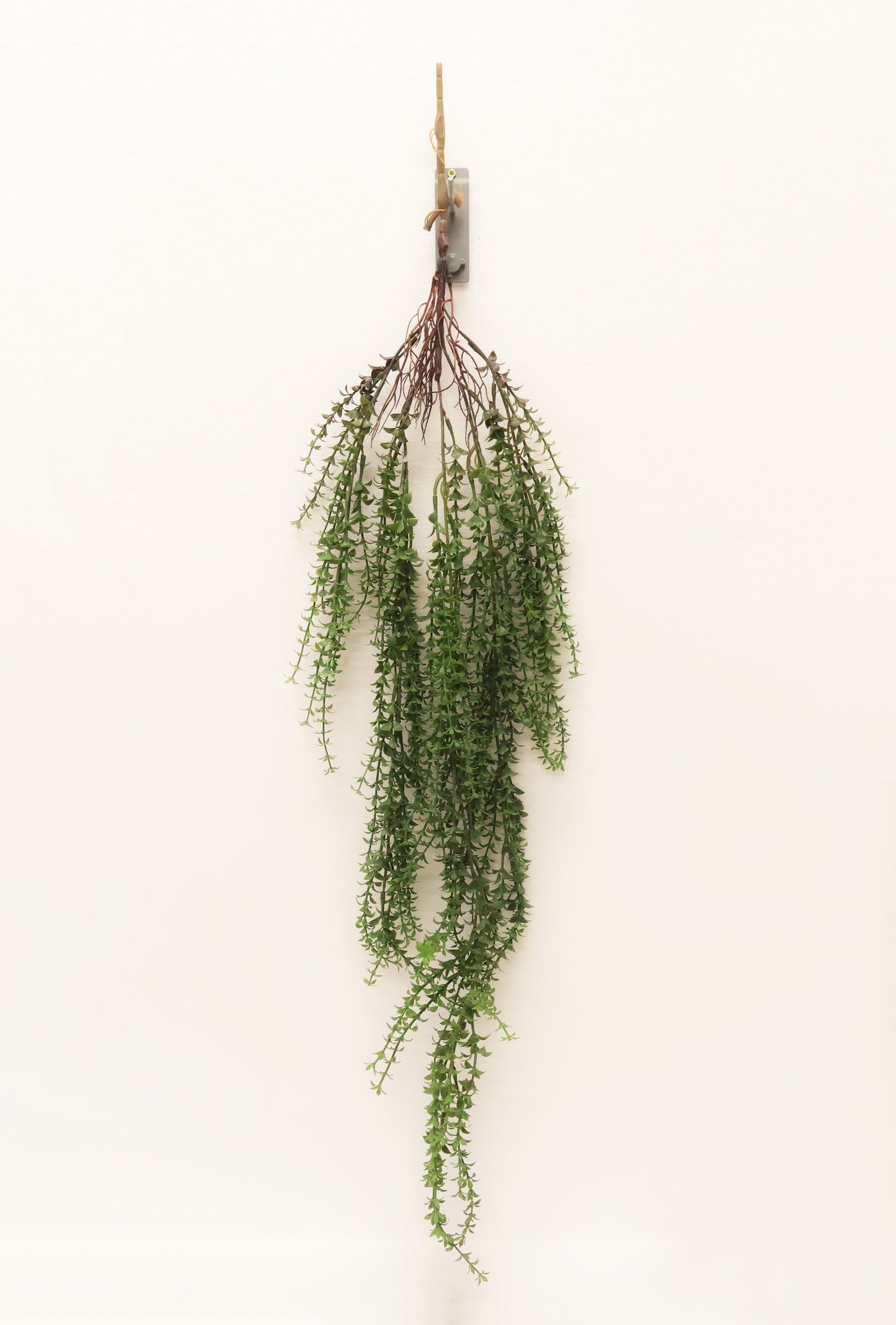 BOXWOOD MYRTLE VINE — 44" (112 cm)