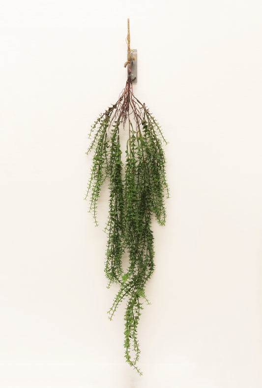 BOXWOOD MYRTLE VINE — 44" (112 cm)