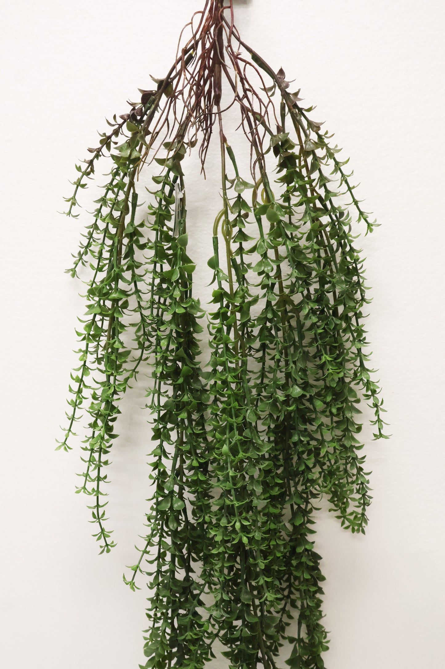 BOXWOOD MYRTLE VINE — 44" (112 cm)