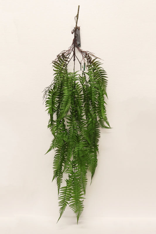 LADY FERN VINE (ATHYRIUM FILIX-FEMINA) — 45" (114 cm)