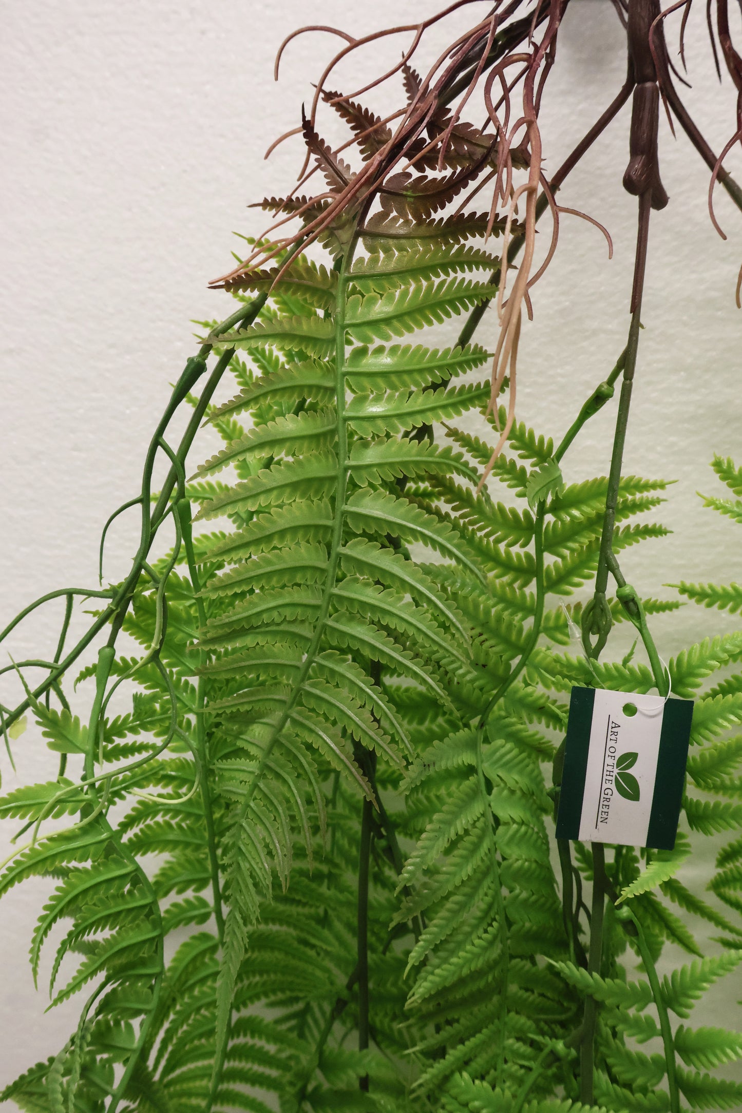 LADY FERN VINE (ATHYRIUM FILIX-FEMINA) — 45" (114 cm)