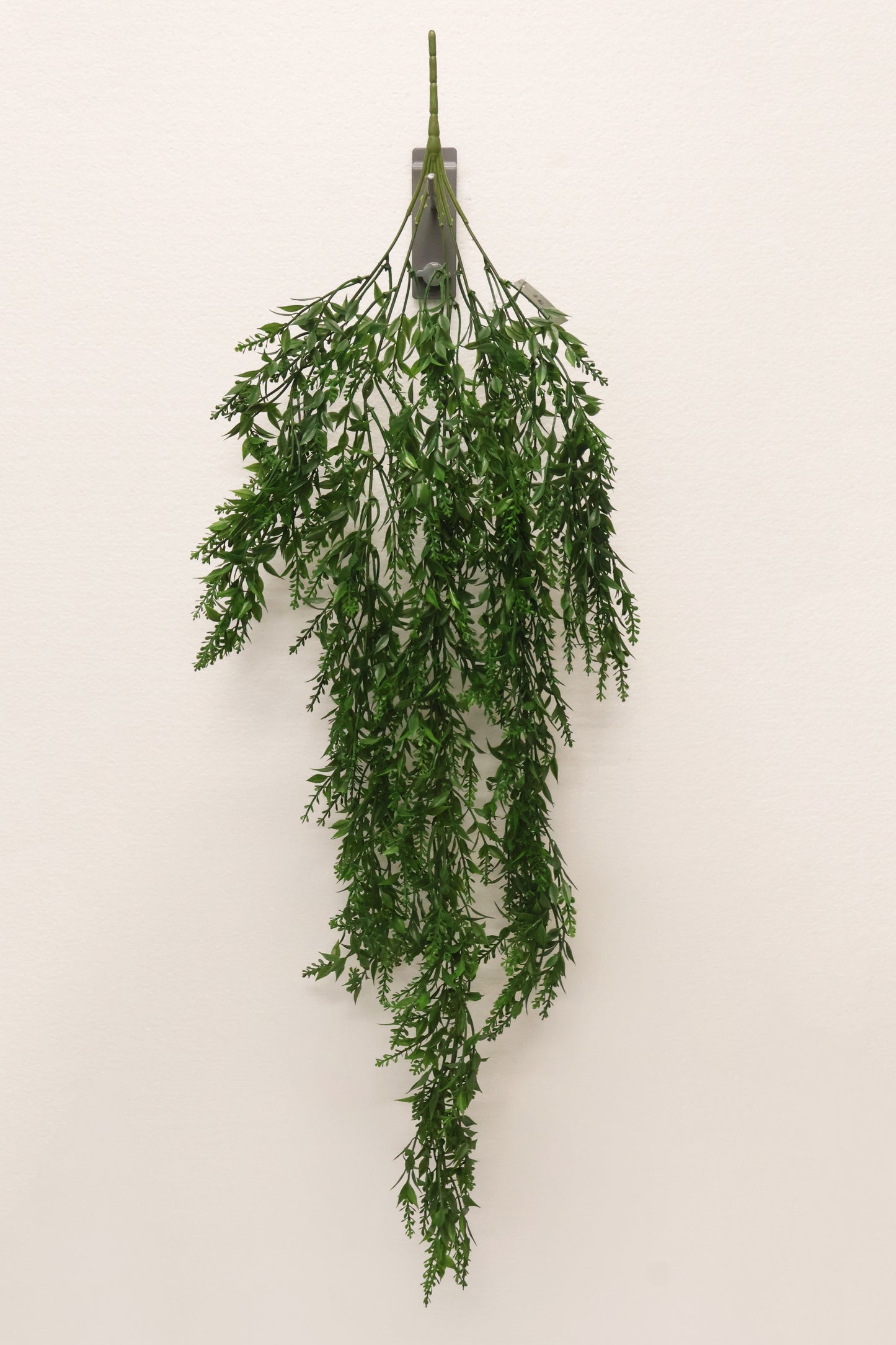 BASIL BUD VINE (BOXWOOD TYPE) — 34" (86 cm)