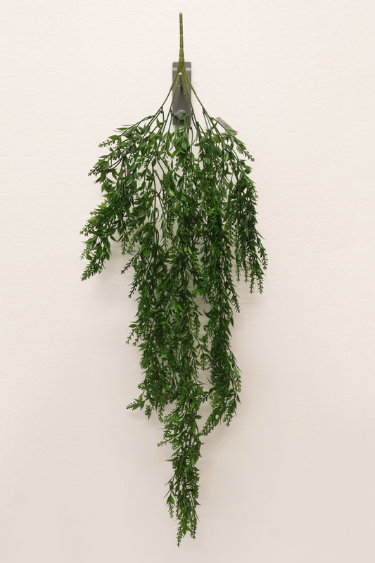 BASIL BUD VINE (BOXWOOD TYPE) — 34" (86 cm)