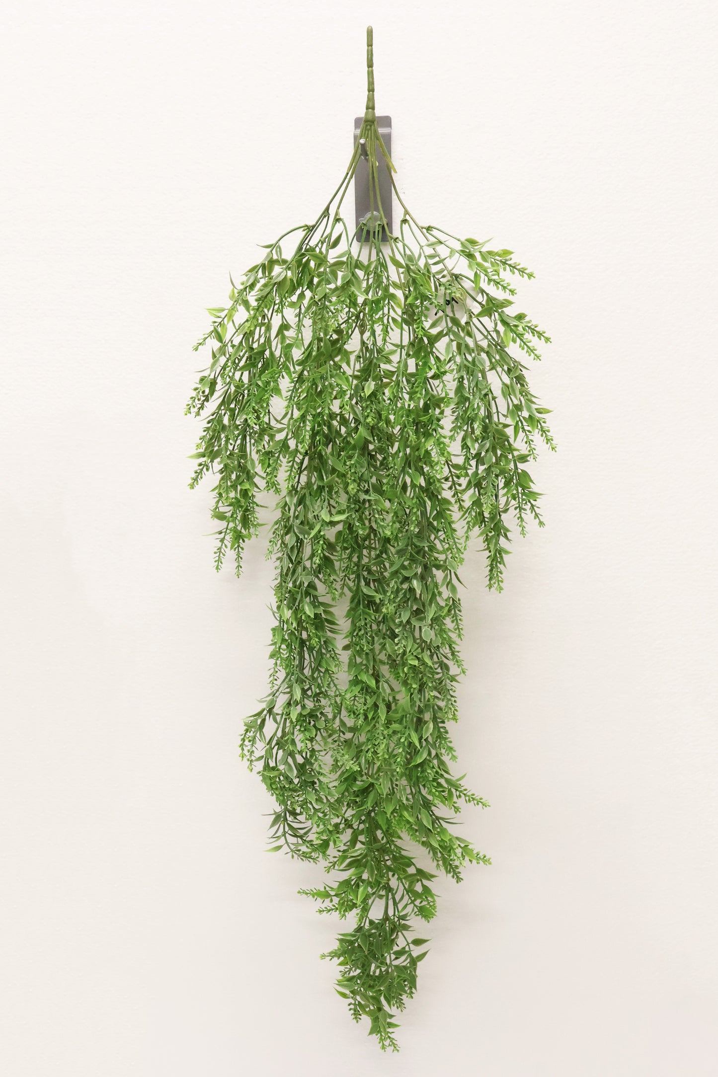 BASIL BUD VINE (BOXWOOD TYPE) — 34" (86 cm)