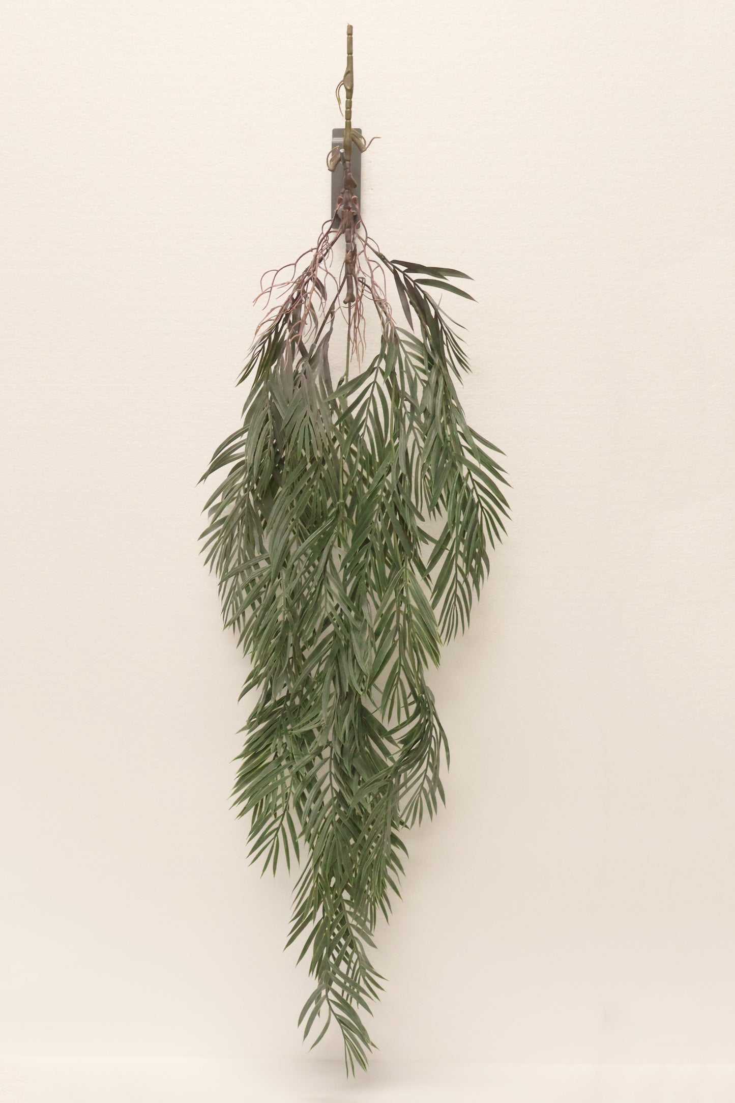 PARLOR PALM VINE — 43" (109 cm)