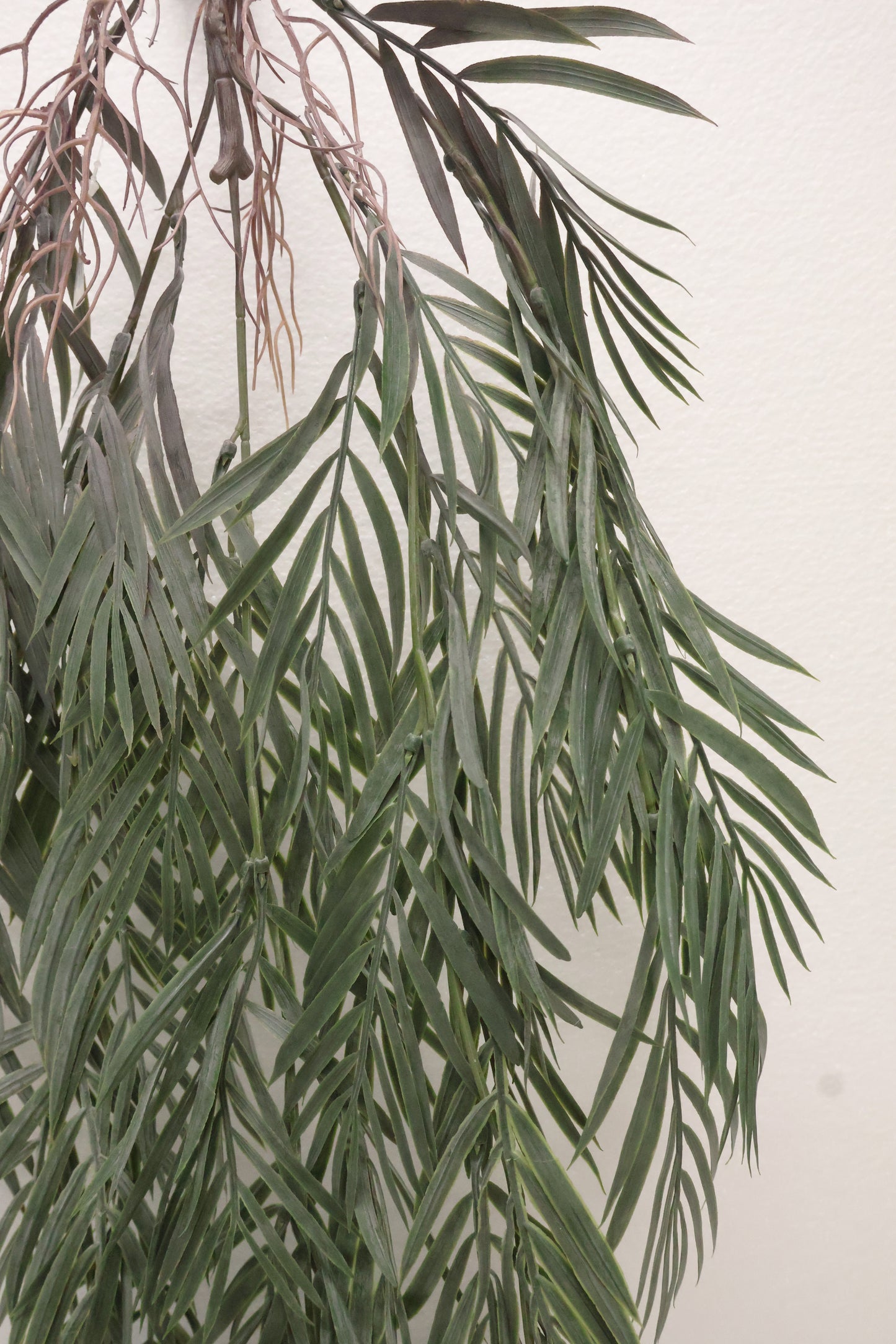 PARLOR PALM VINE — 43" (109 cm)