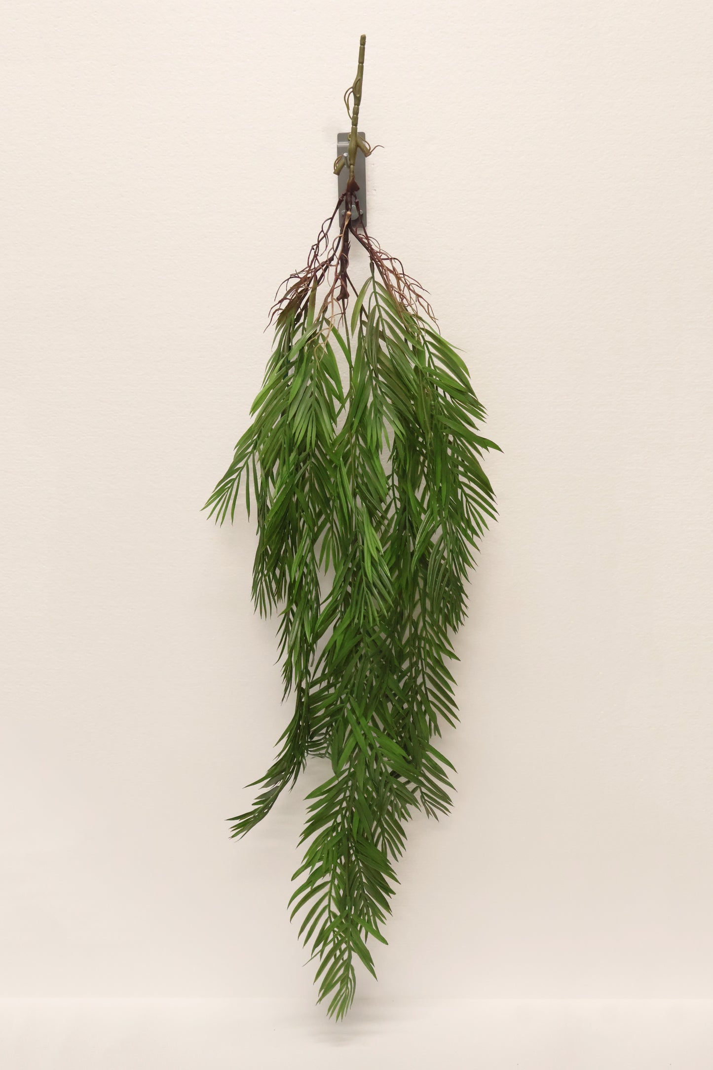 PARLOR PALM VINE — 43" (109 cm)
