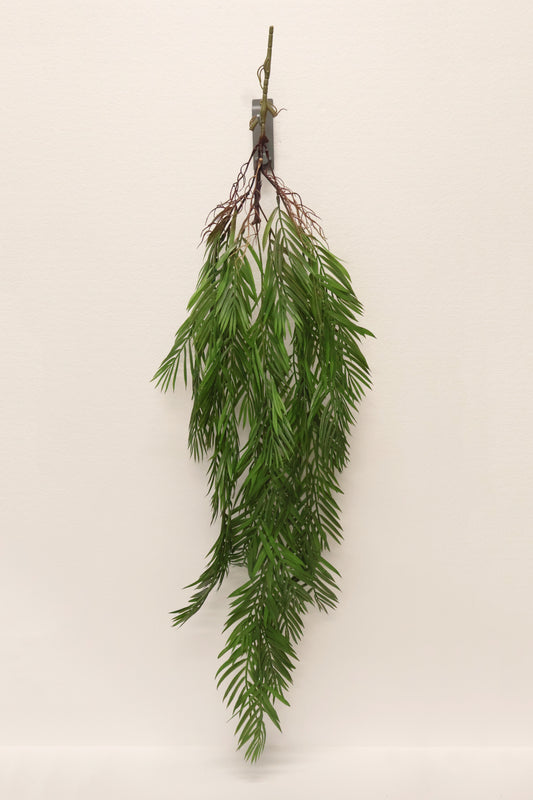 PARLOR PALM VINE — 43" (109 cm)