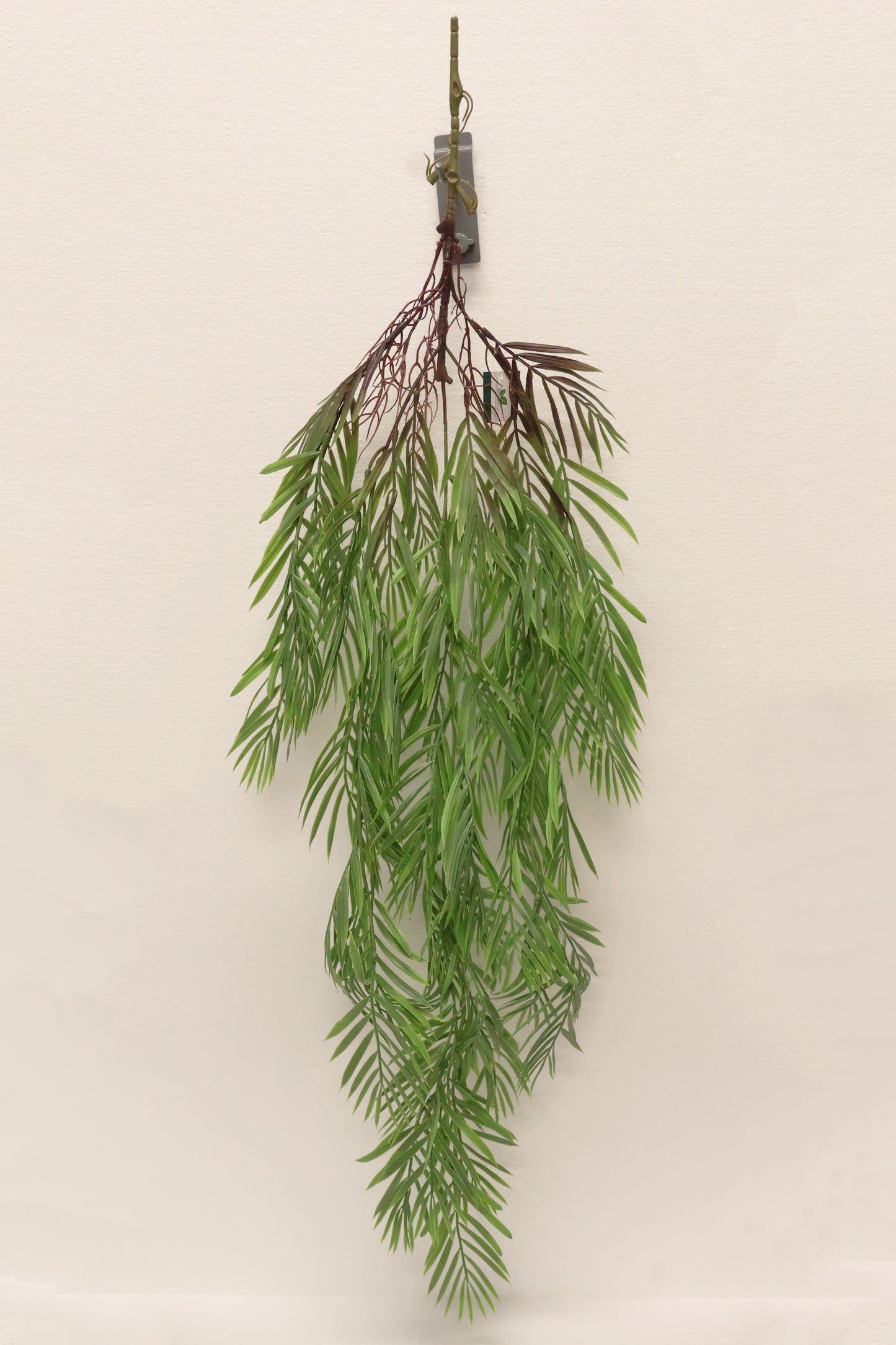 PARLOR PALM VINE — 43" (109 cm)