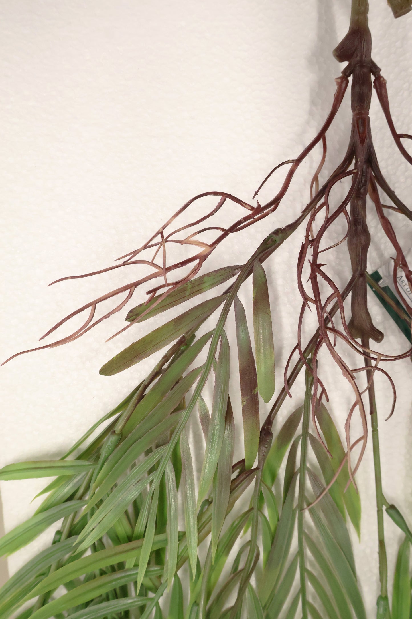 PARLOR PALM VINE — 43" (109 cm)