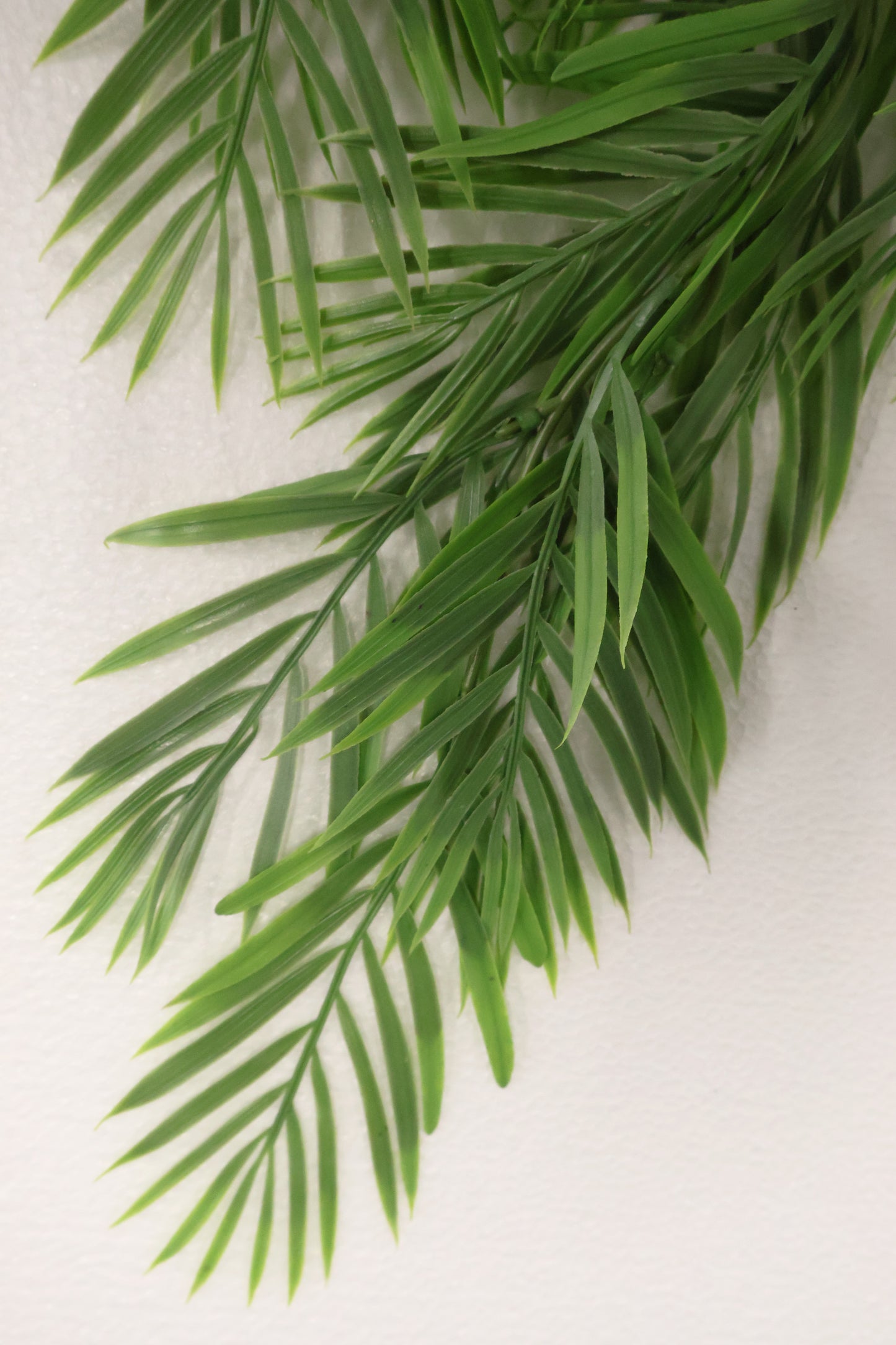 PARLOR PALM VINE — 43" (109 cm)