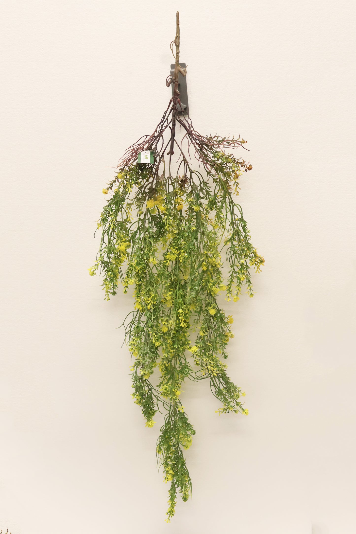 WAXFLOWER SPRAY (CHAMELAUCIUM) — 40" (102 cm)