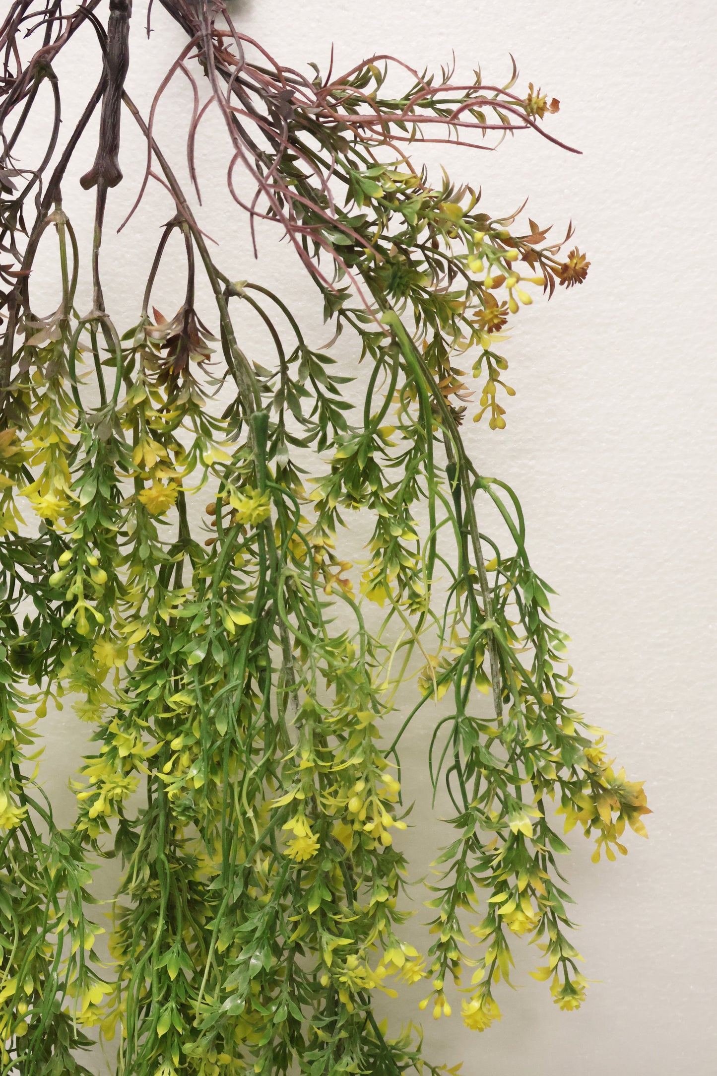 WAXFLOWER SPRAY (CHAMELAUCIUM) — 40" (102 cm)