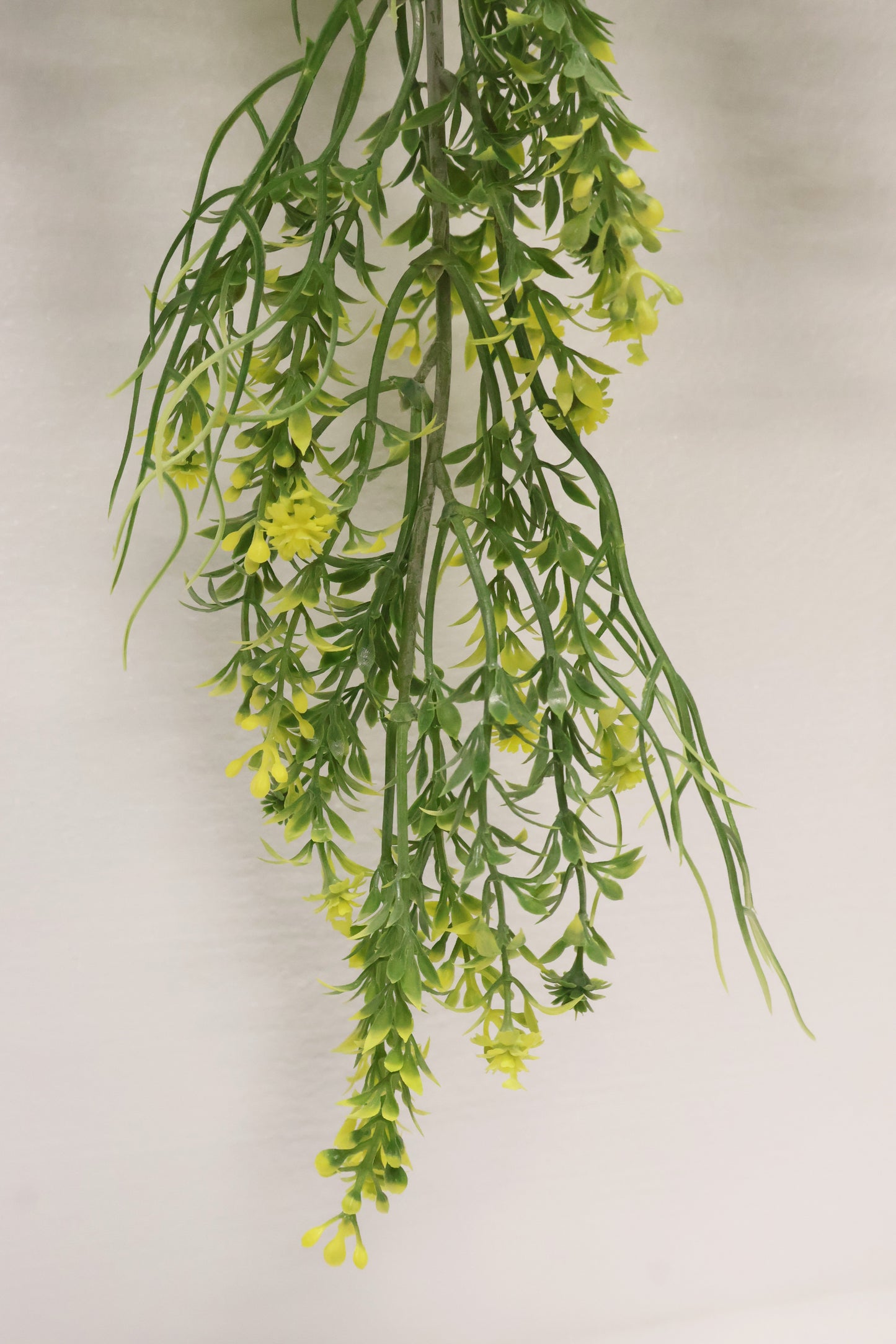 WAXFLOWER SPRAY (CHAMELAUCIUM) — 40" (102 cm)