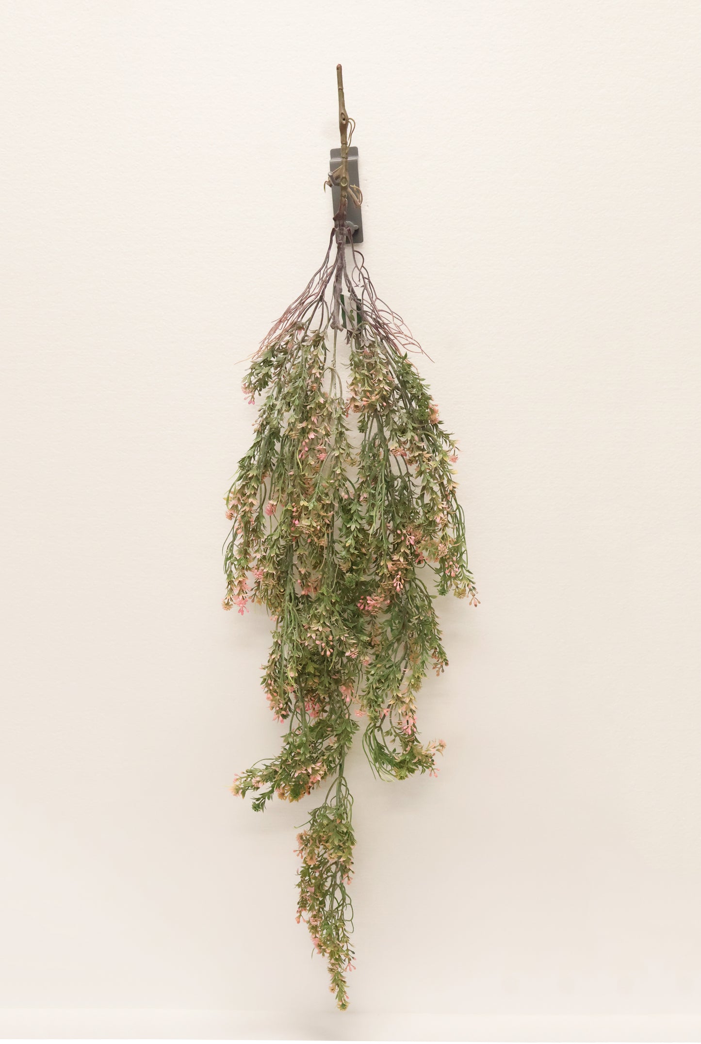 WAXFLOWER SPRAY (CHAMELAUCIUM) — 40" (102 cm)