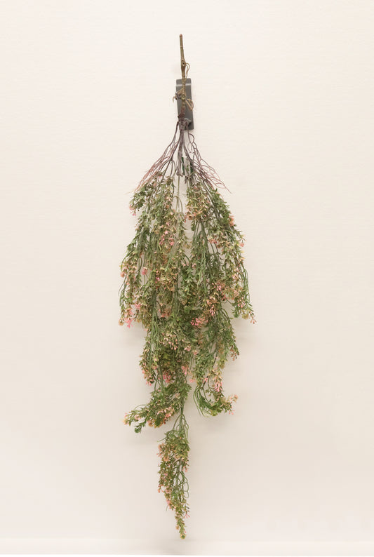 WAXFLOWER SPRAY (CHAMELAUCIUM) — 40" (102 cm)