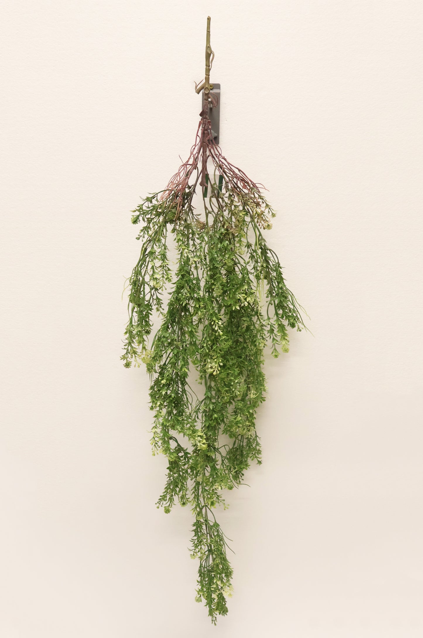 WAXFLOWER SPRAY (CHAMELAUCIUM) — 40" (102 cm)