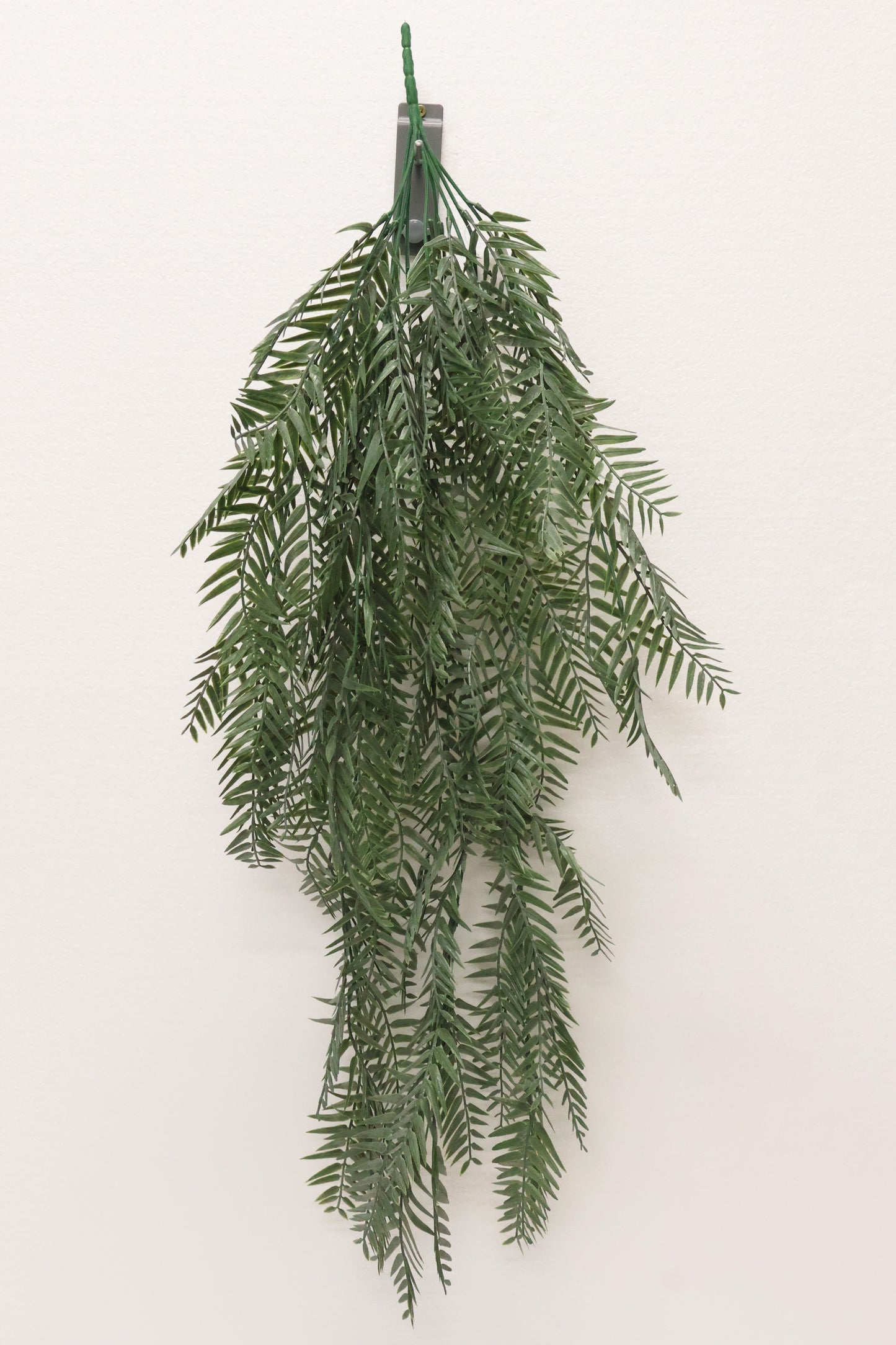 WEEPING PODOCARPUS VINE — 34" (86 cm)