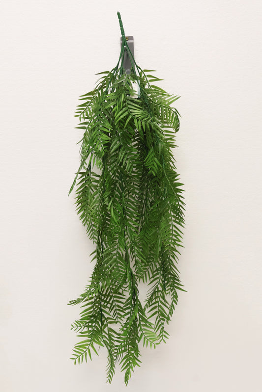 WEEPING PODOCARPUS VINE — 34" (86 cm)