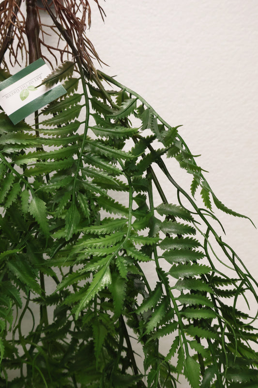AUTUMN FERN (SMALL LEAF TYPE) — 42" (107 cm)