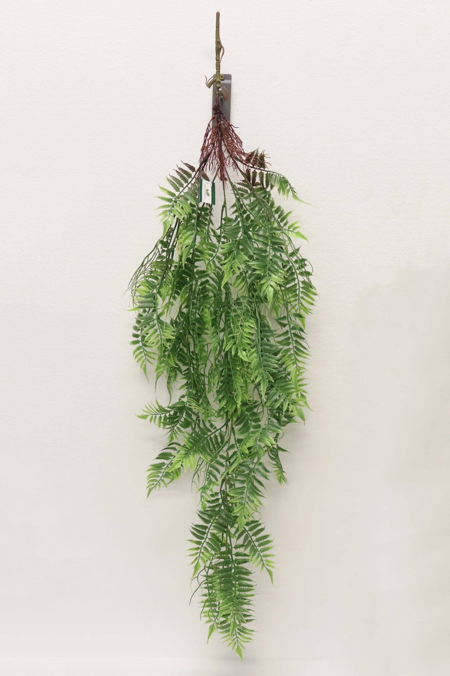 AUTUMN FERN (SMALL LEAF TYPE) — 42" (107 cm)