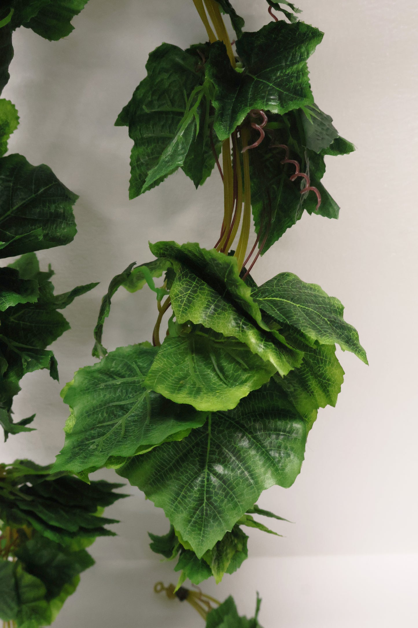GRAPE IVY — 108.3" (275 cm)