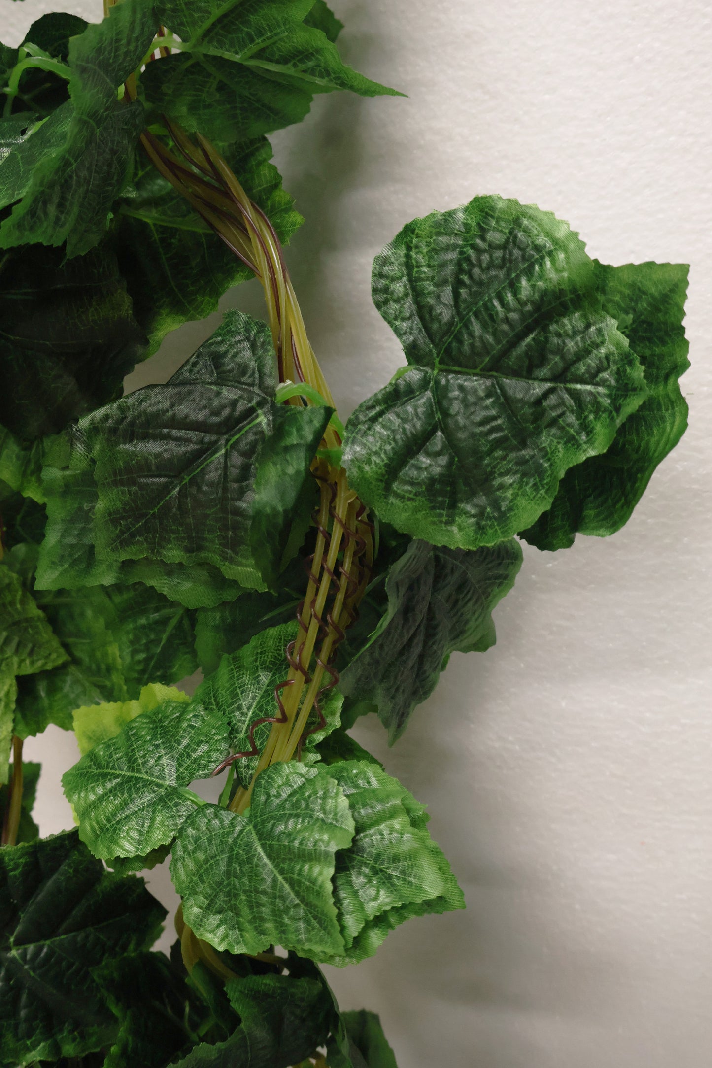 GRAPE IVY — 108.3" (275 cm)