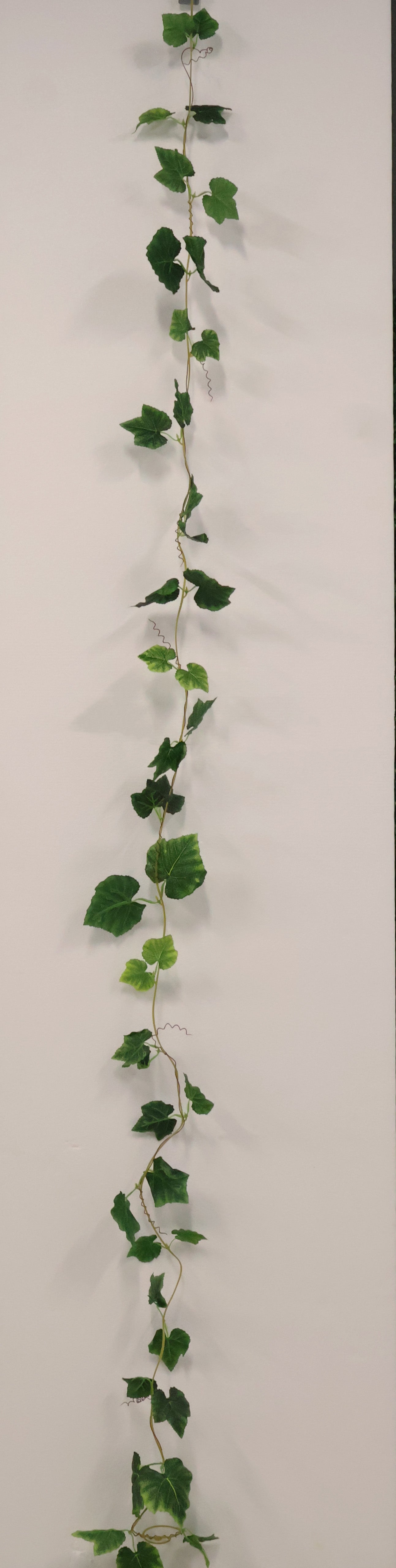 GRAPE IVY — 108.3" (275 cm)
