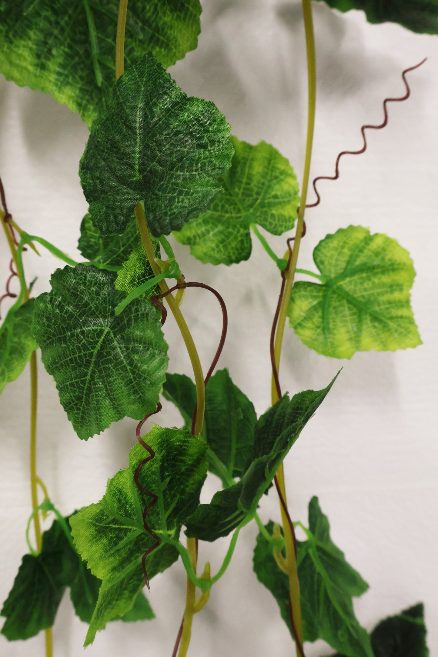 GRAPE IVY — 108.3" (275 cm)