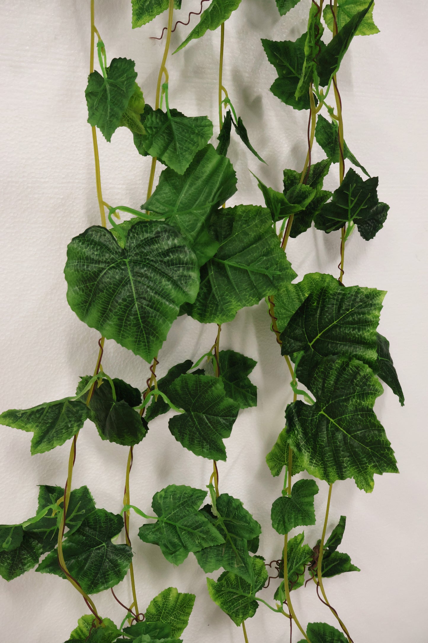 GRAPE IVY — 108.3" (275 cm)