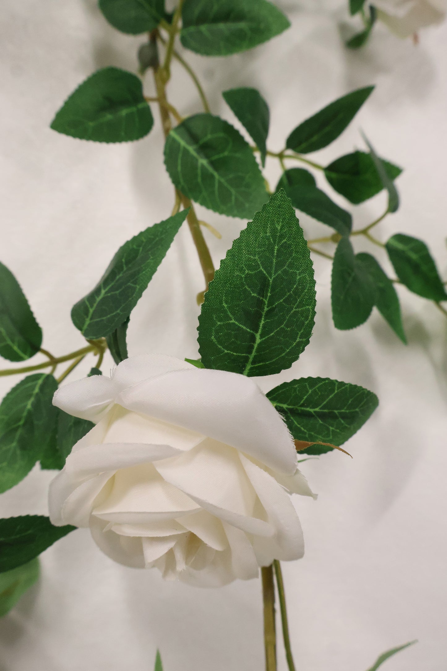 ROSE VINE — 74.0" (188 cm)