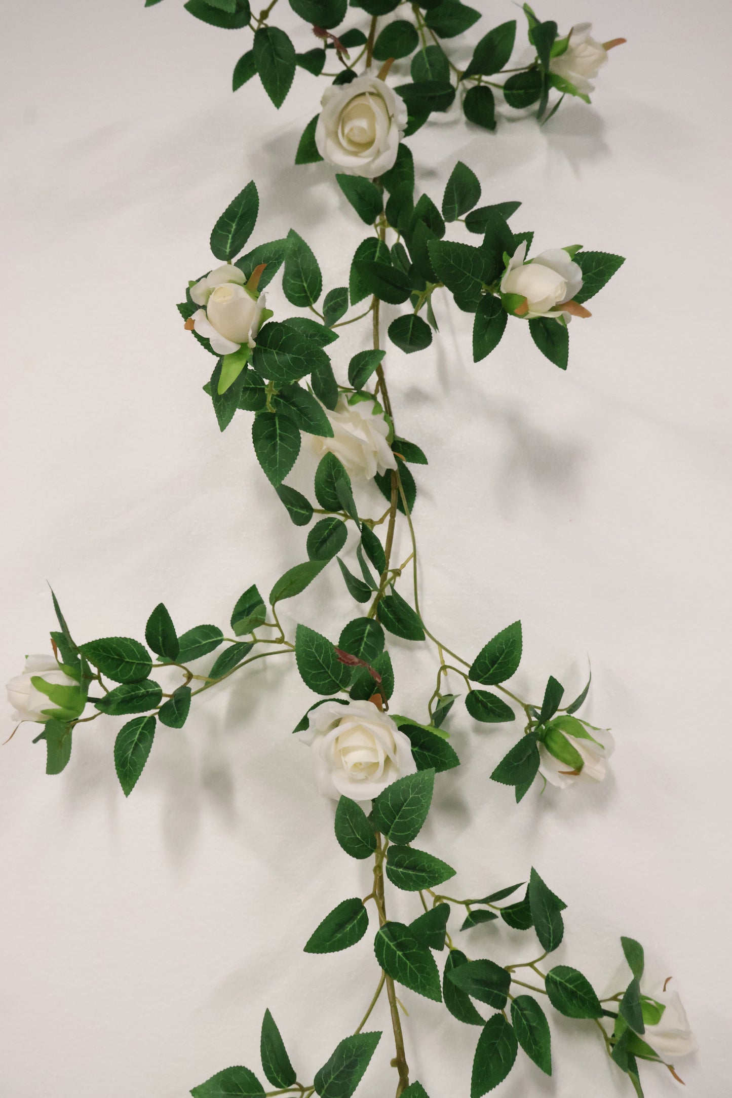 ROSE VINE — 74.0" (188 cm)