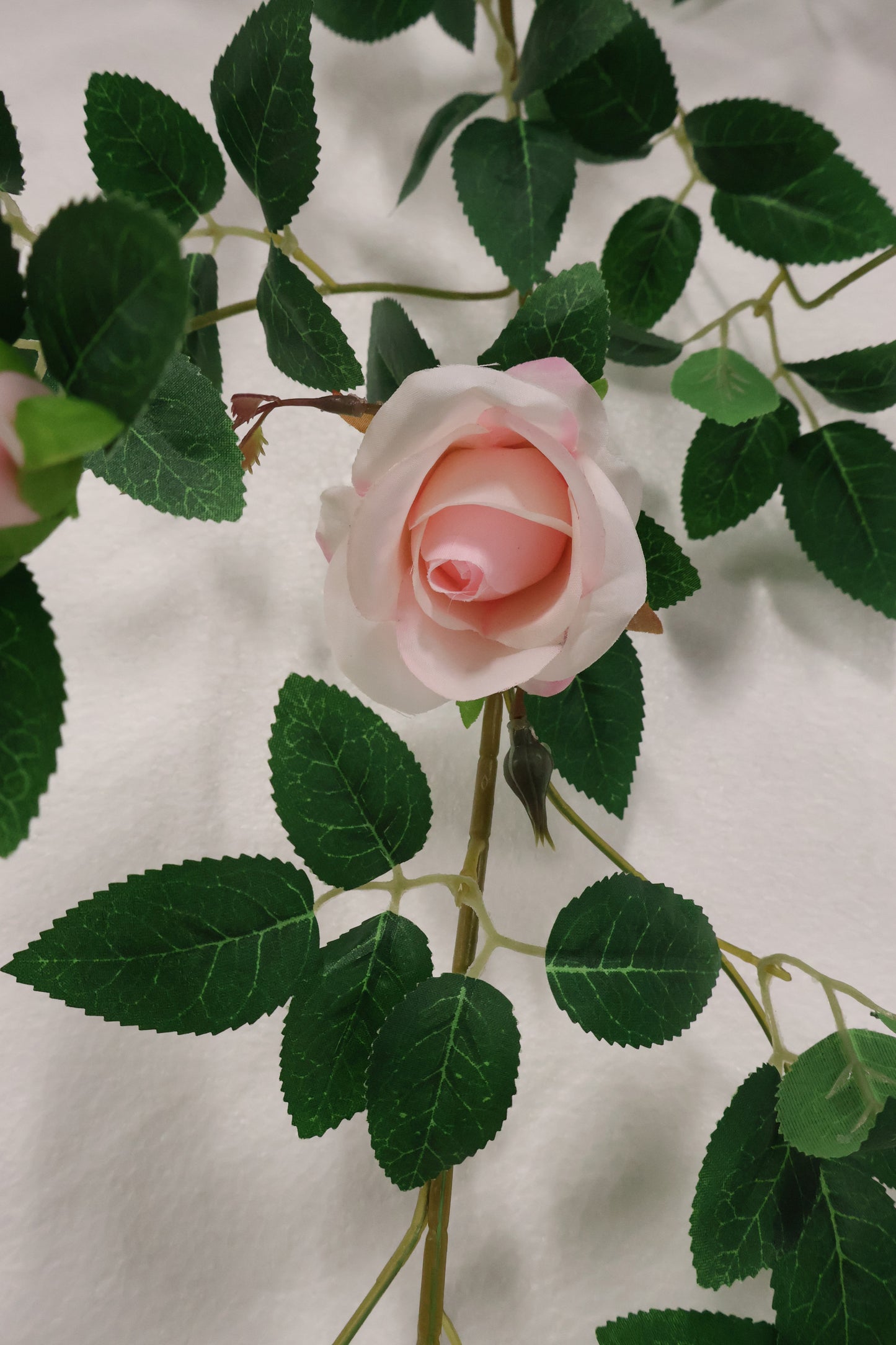 ROSE VINE — 74.0" (188 cm)