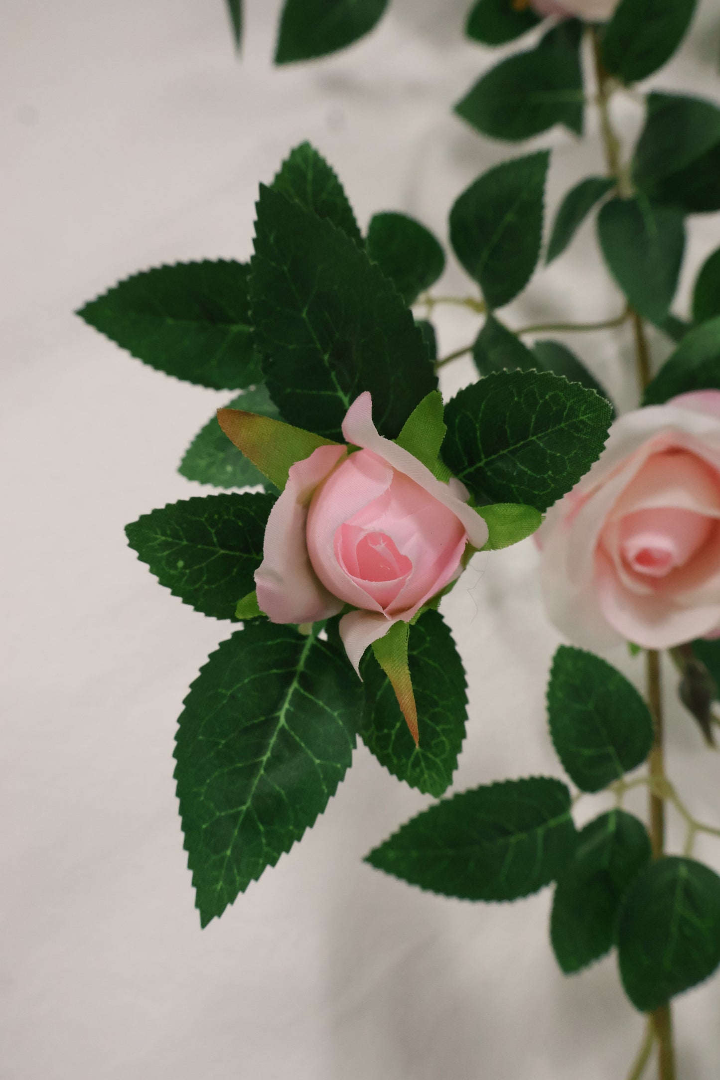 ROSE VINE — 74.0" (188 cm)