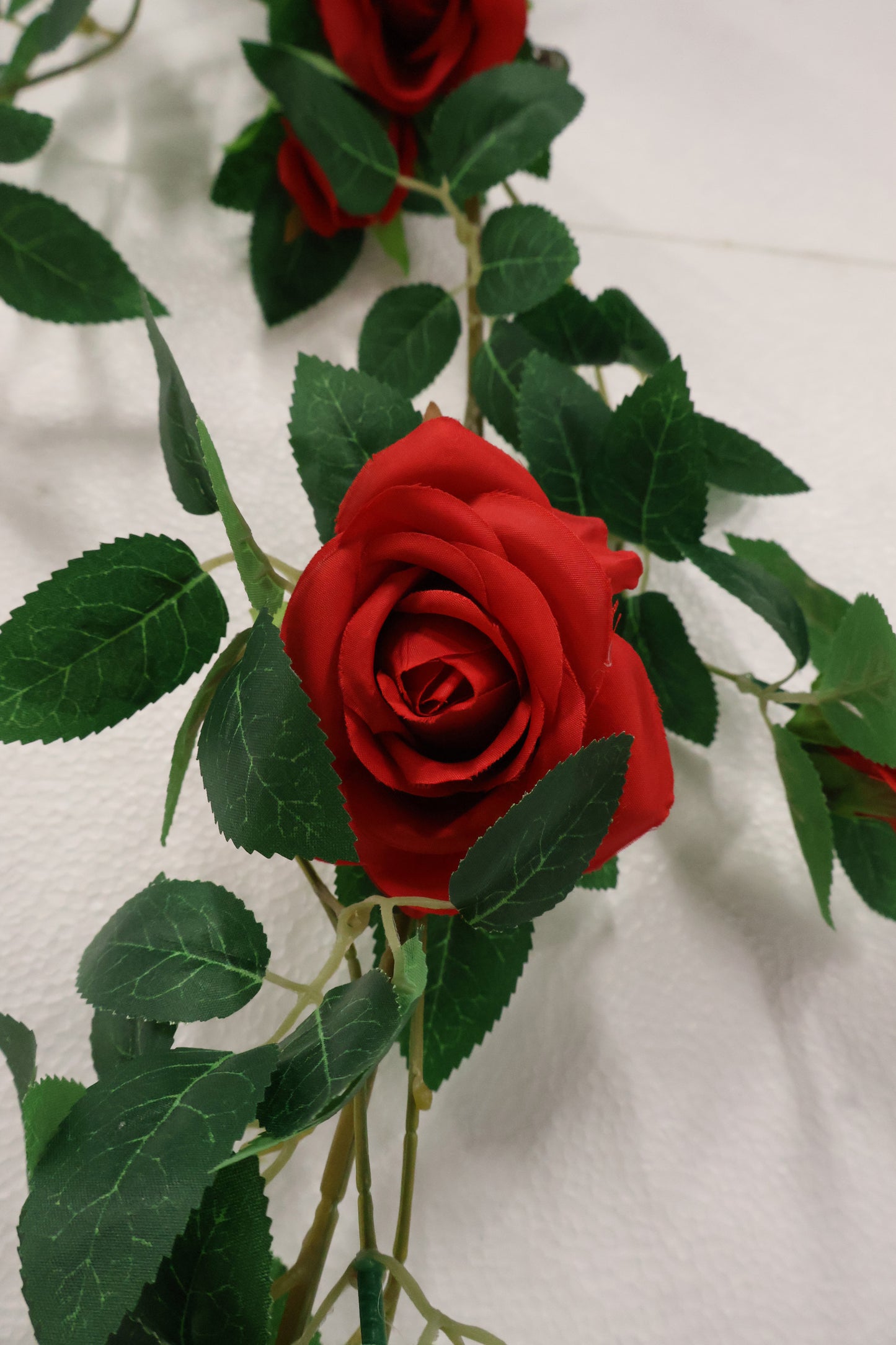 ROSE VINE — 74.0" (188 cm)
