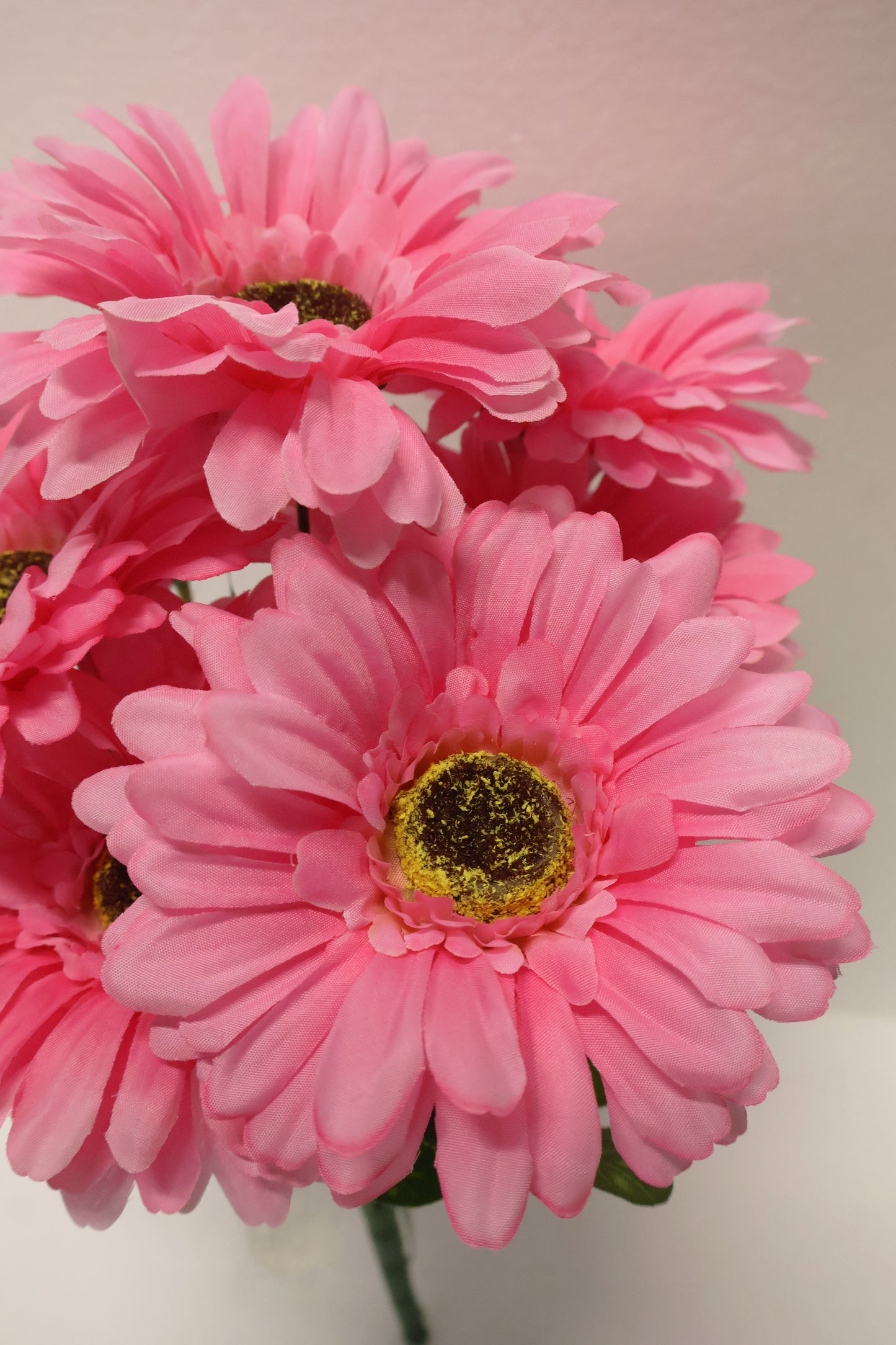 GERBERA — 15.7" (40 cm)