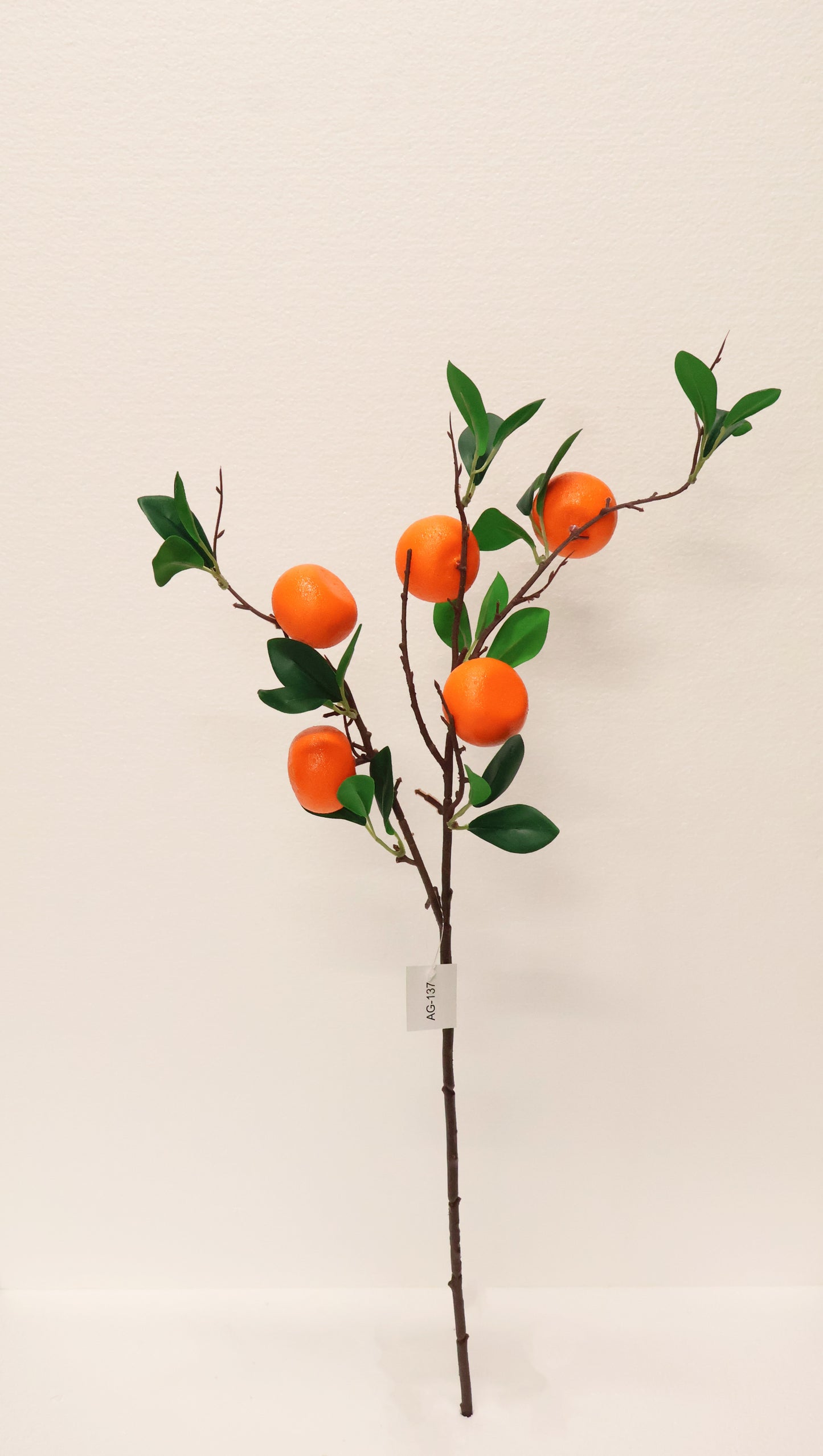 ORANGE — 31.1" (79 cm)